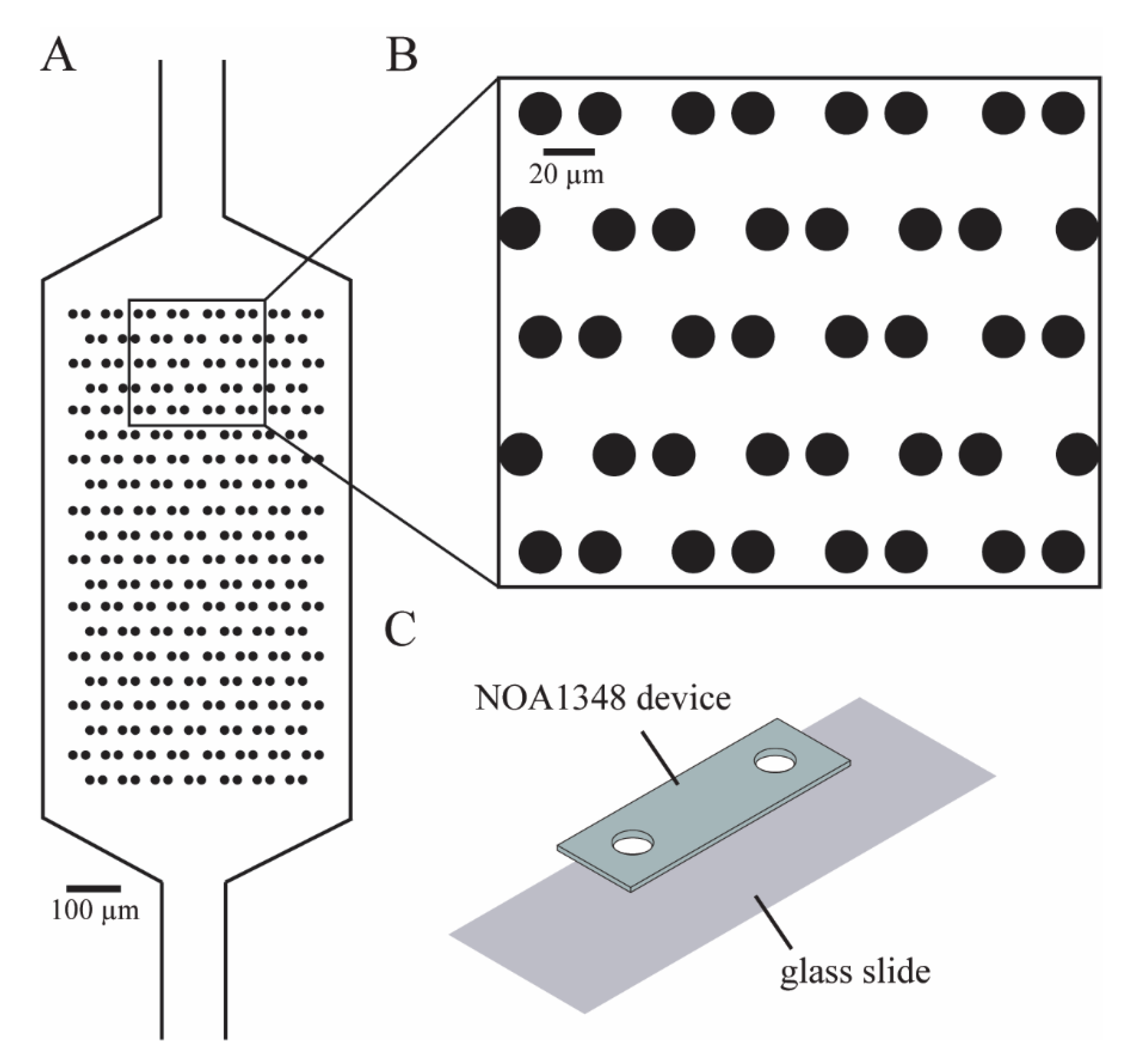 Polymers 13 00496 g001