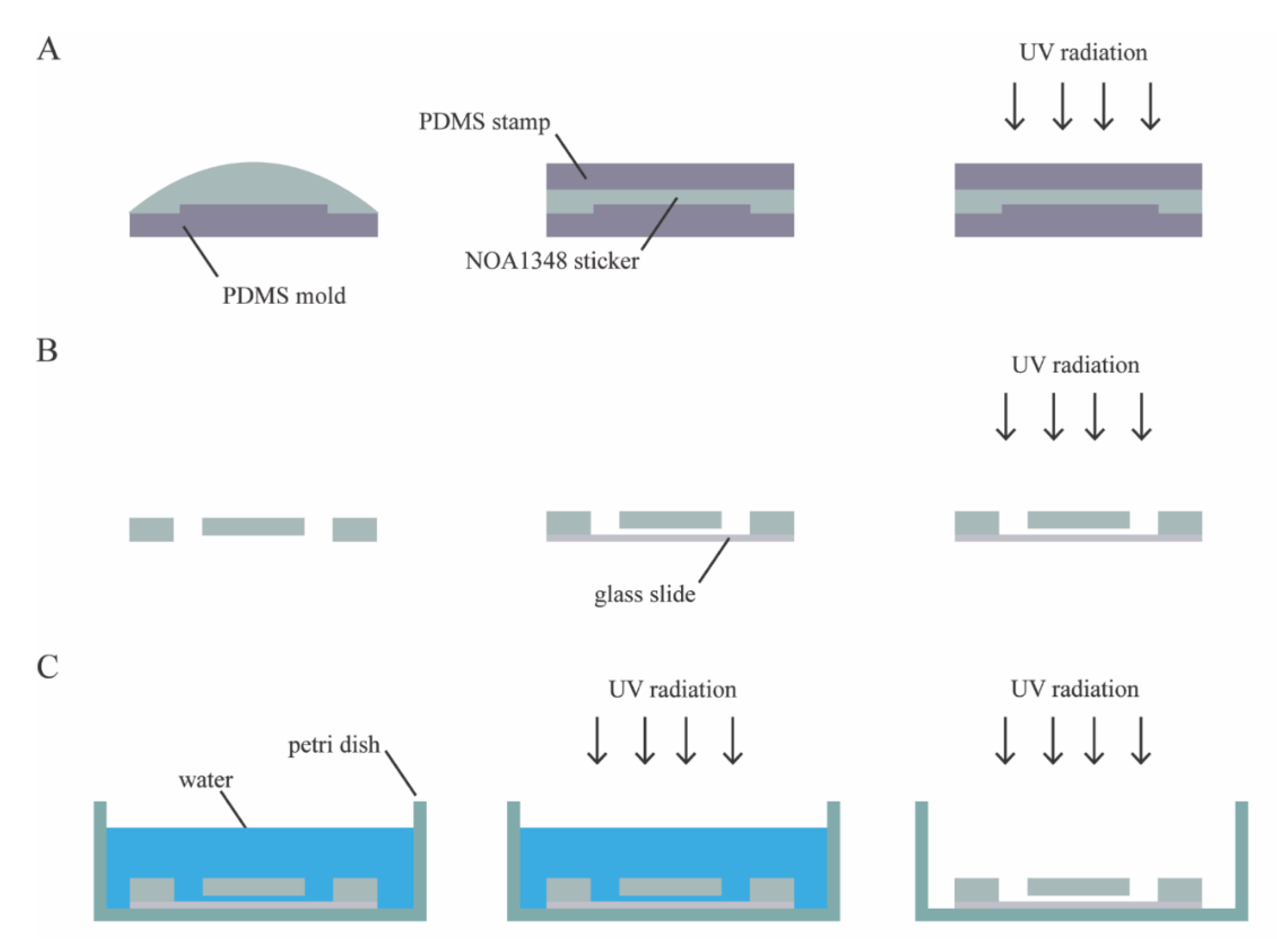 Polymers 13 00496 g002