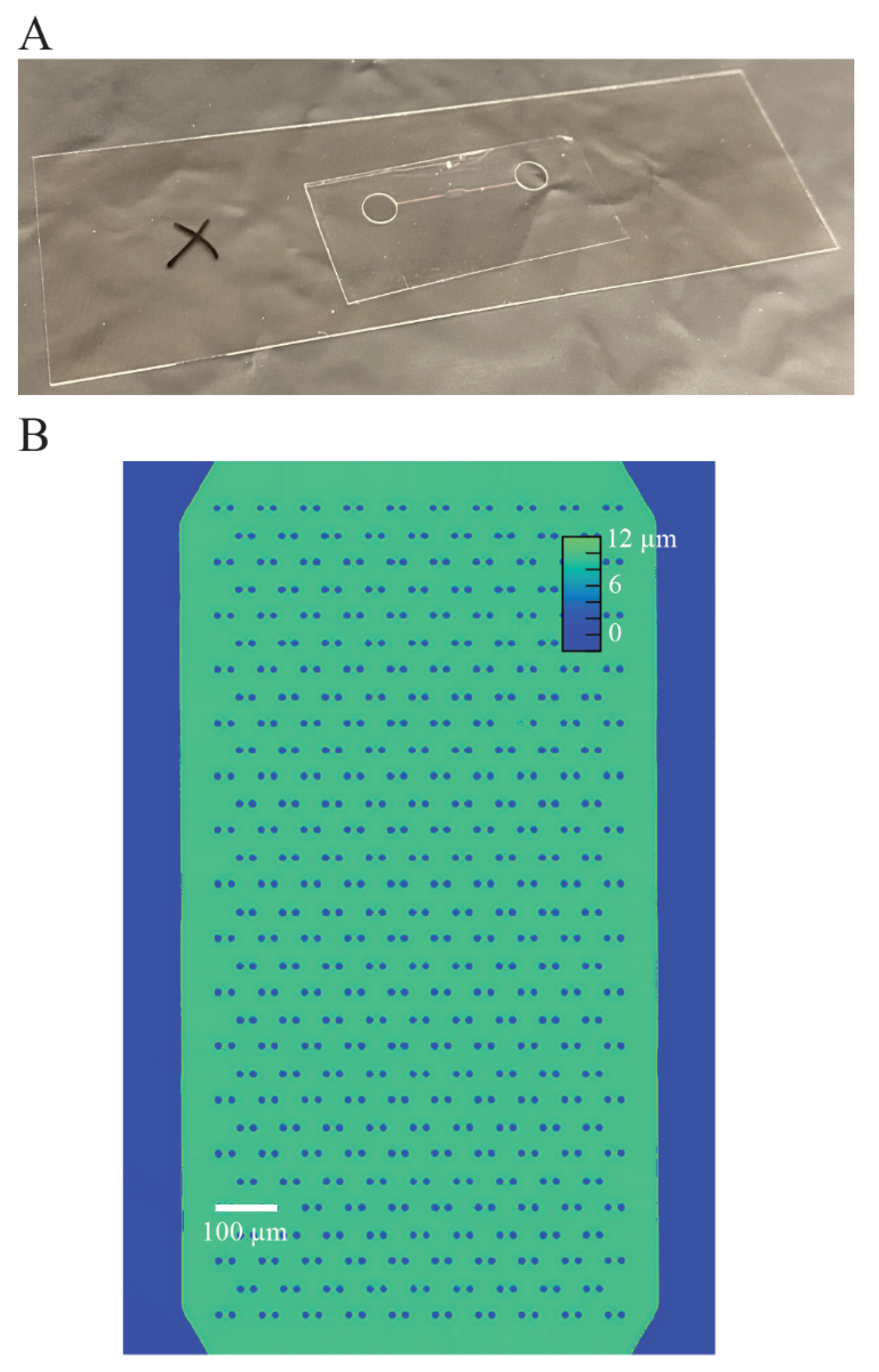 Polymers 13 00496 g003