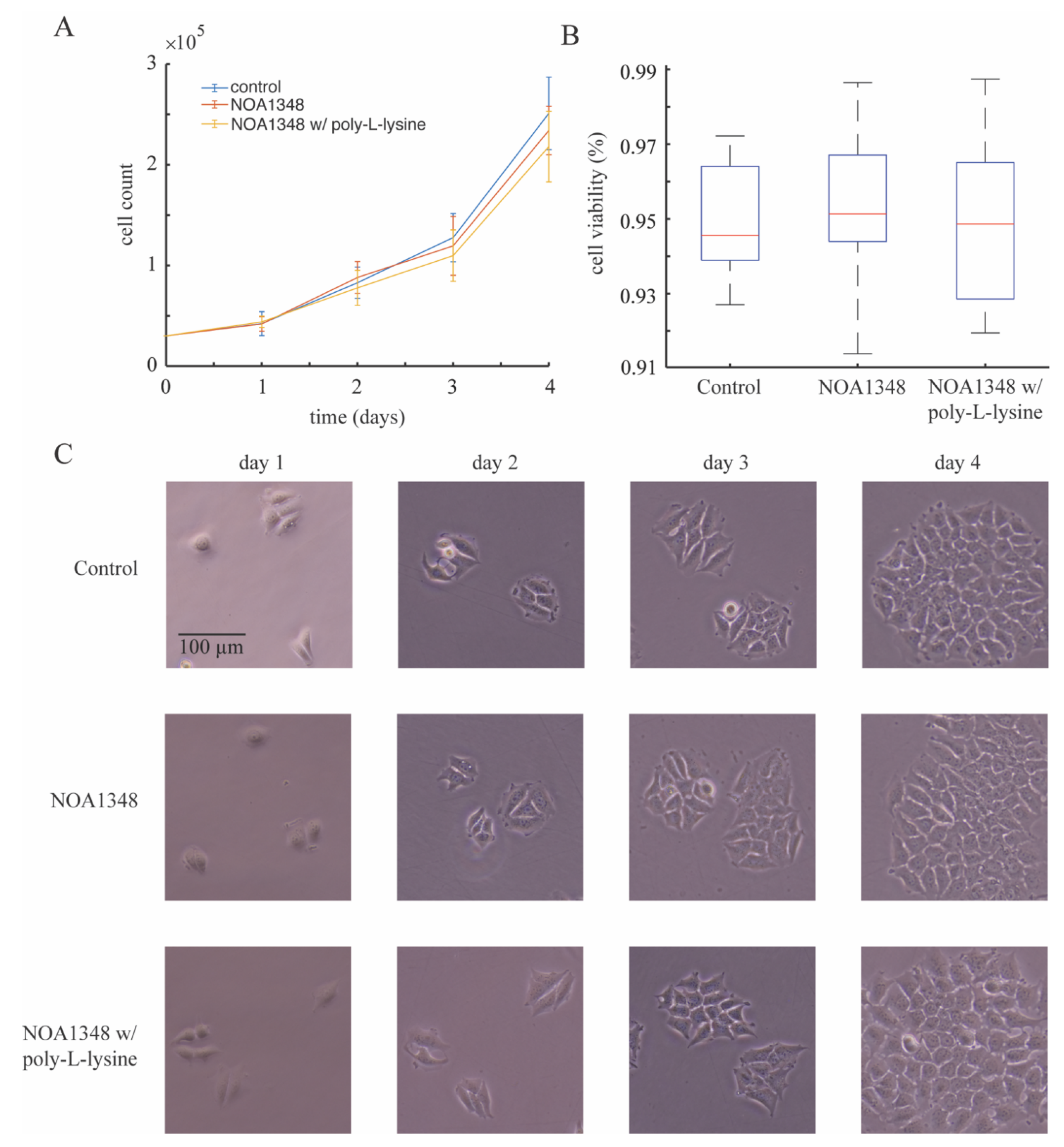 Polymers 13 00496 g004