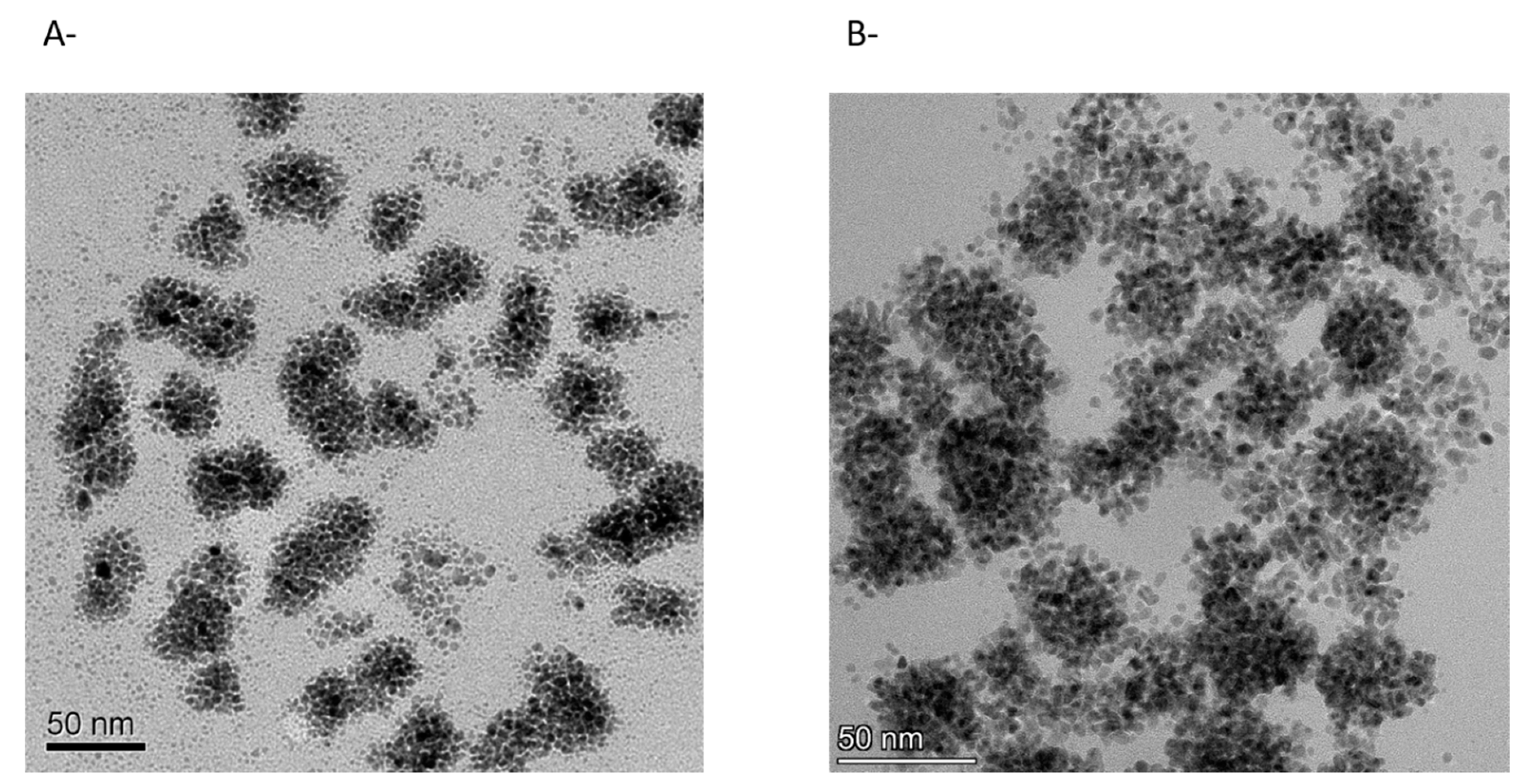 Polymers 13 00498 g002