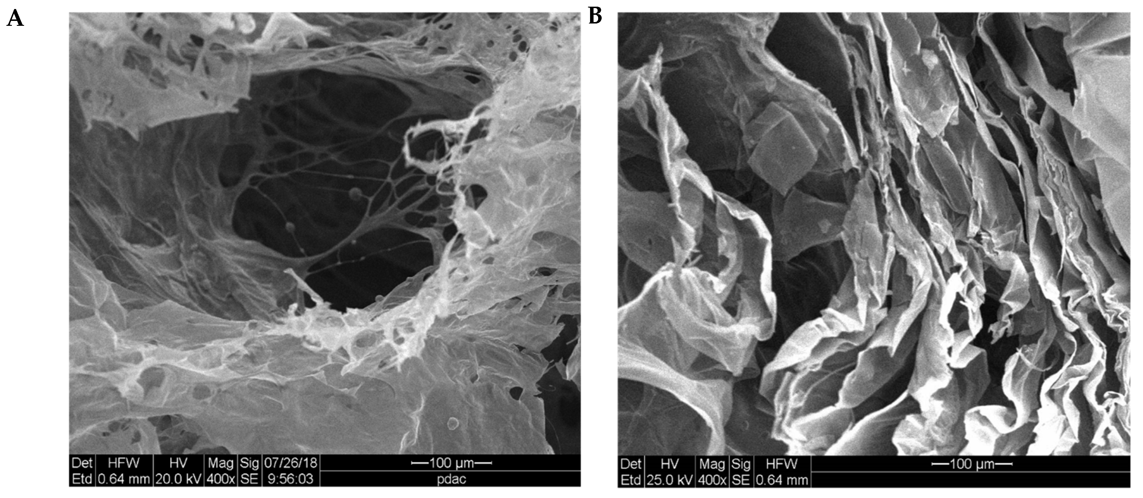 Polymers 13 00498 g004