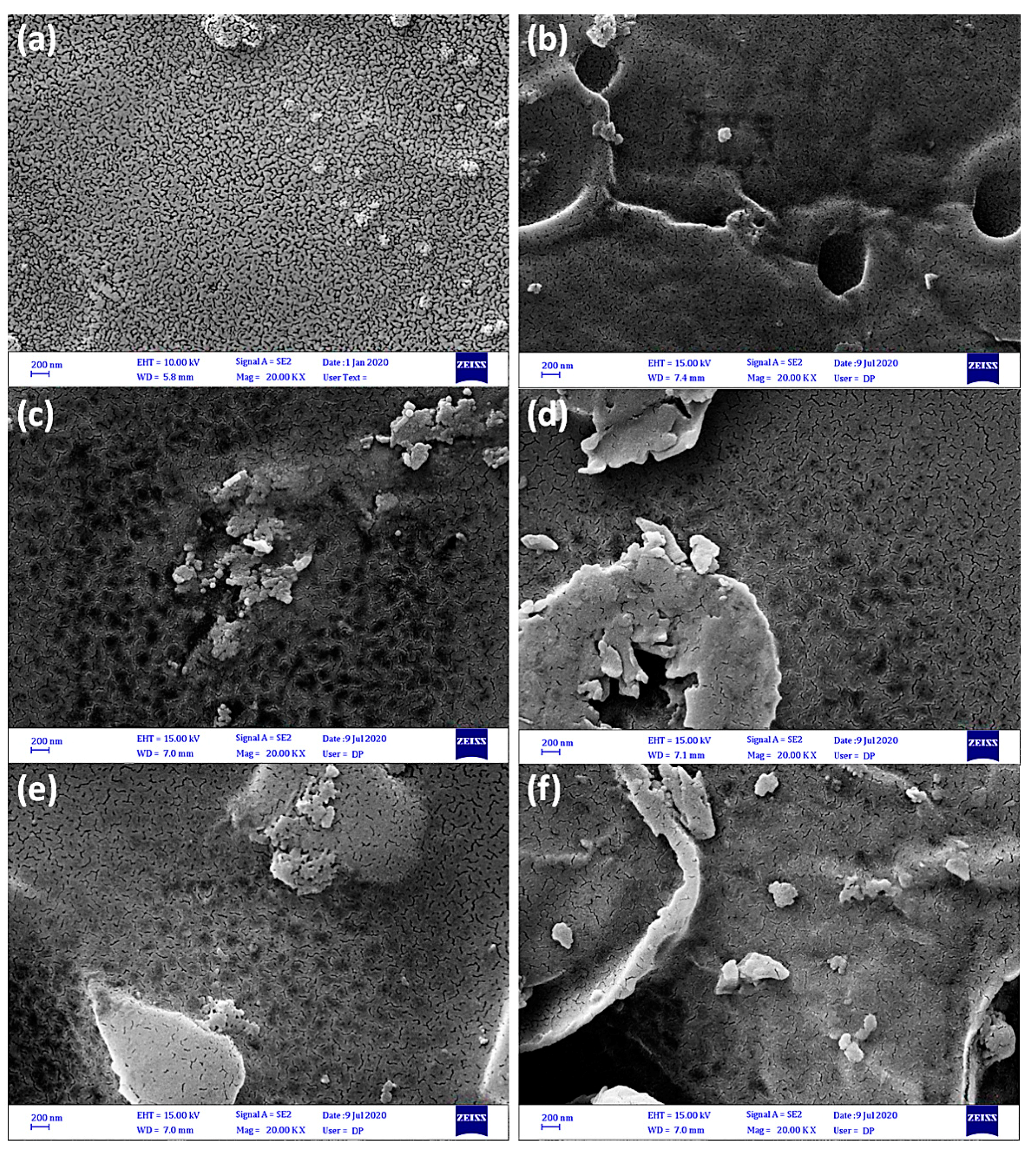 Polymers 13 00500 g005