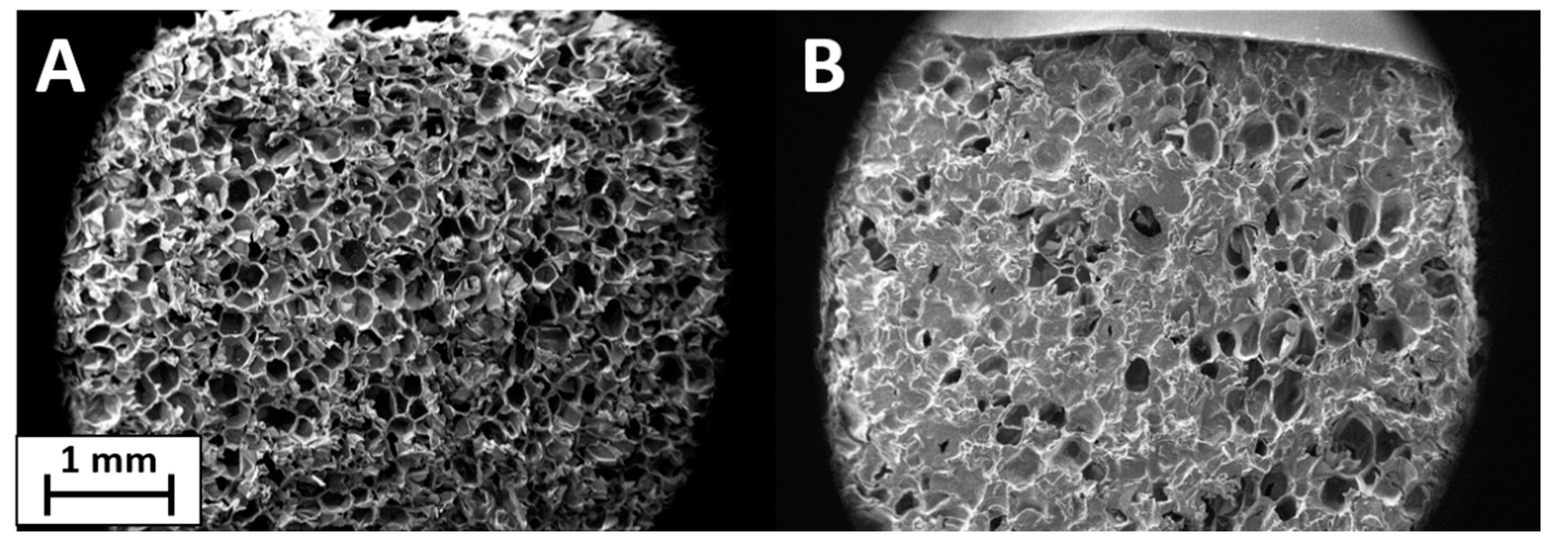 Polymers 13 00501 g003