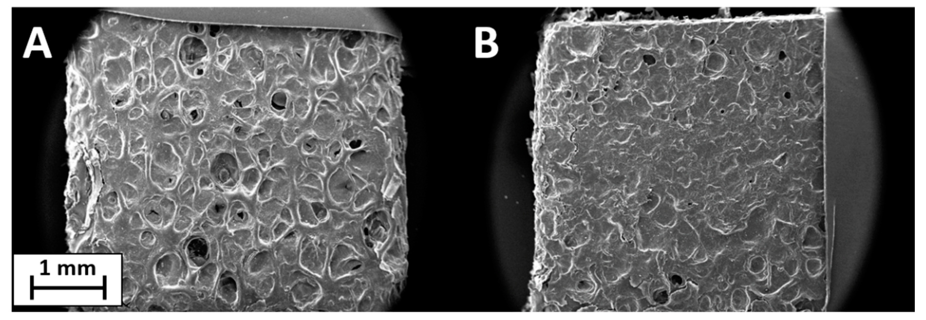 Polymers 13 00501 g008