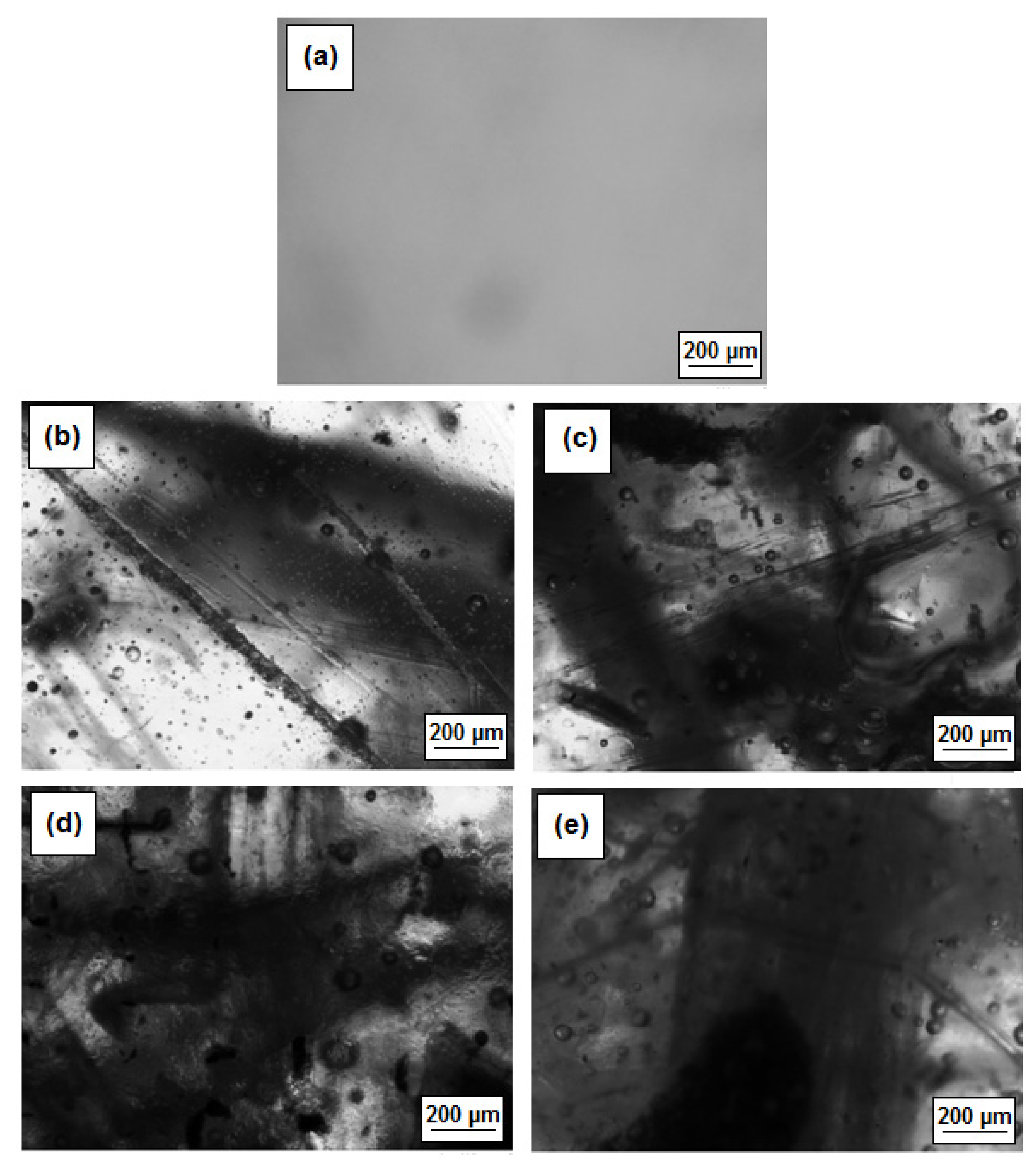 Polymers 13 00503 g003 Polymers 13 00503 g003