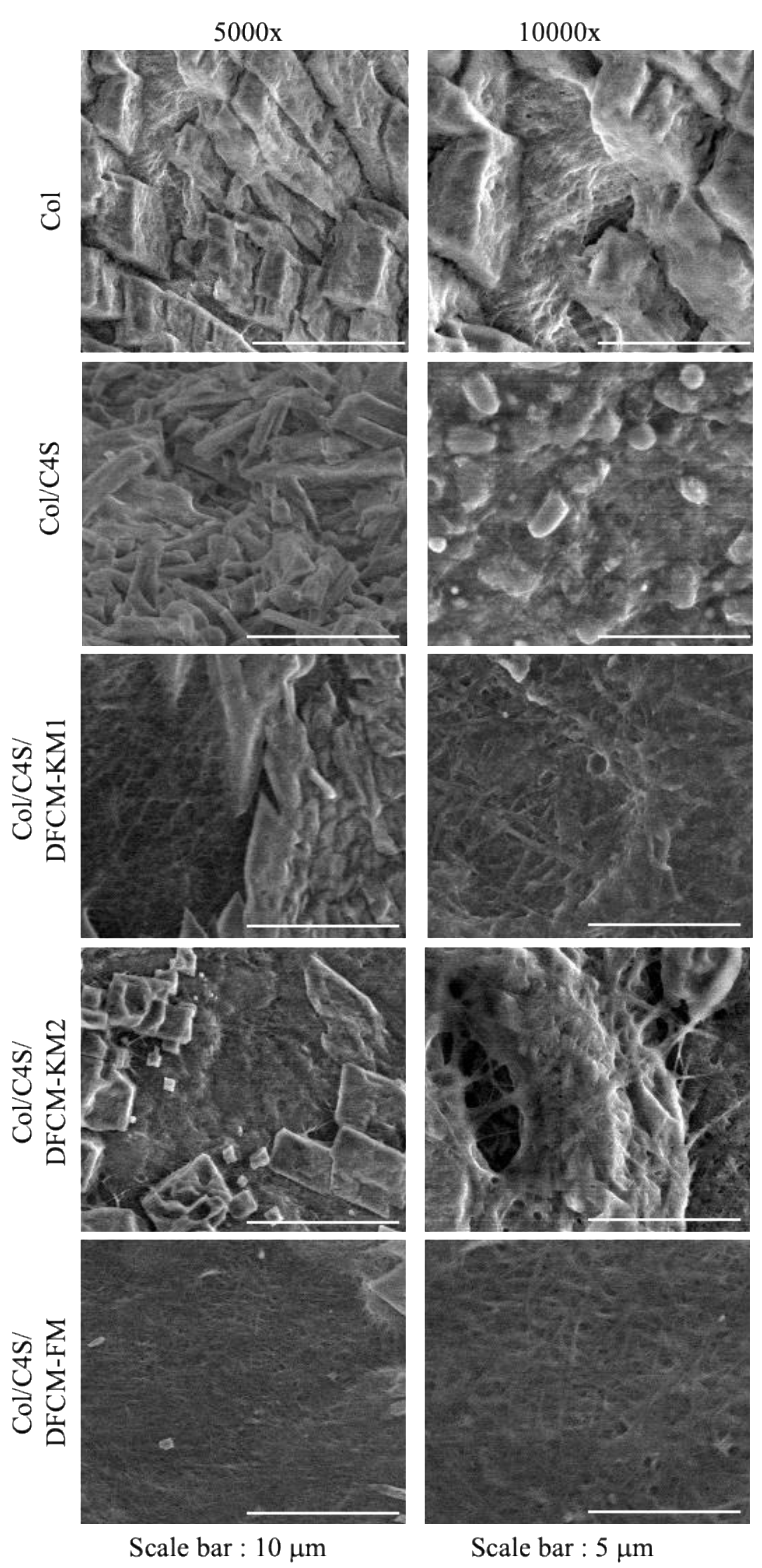 Polymers 13 00508 g003