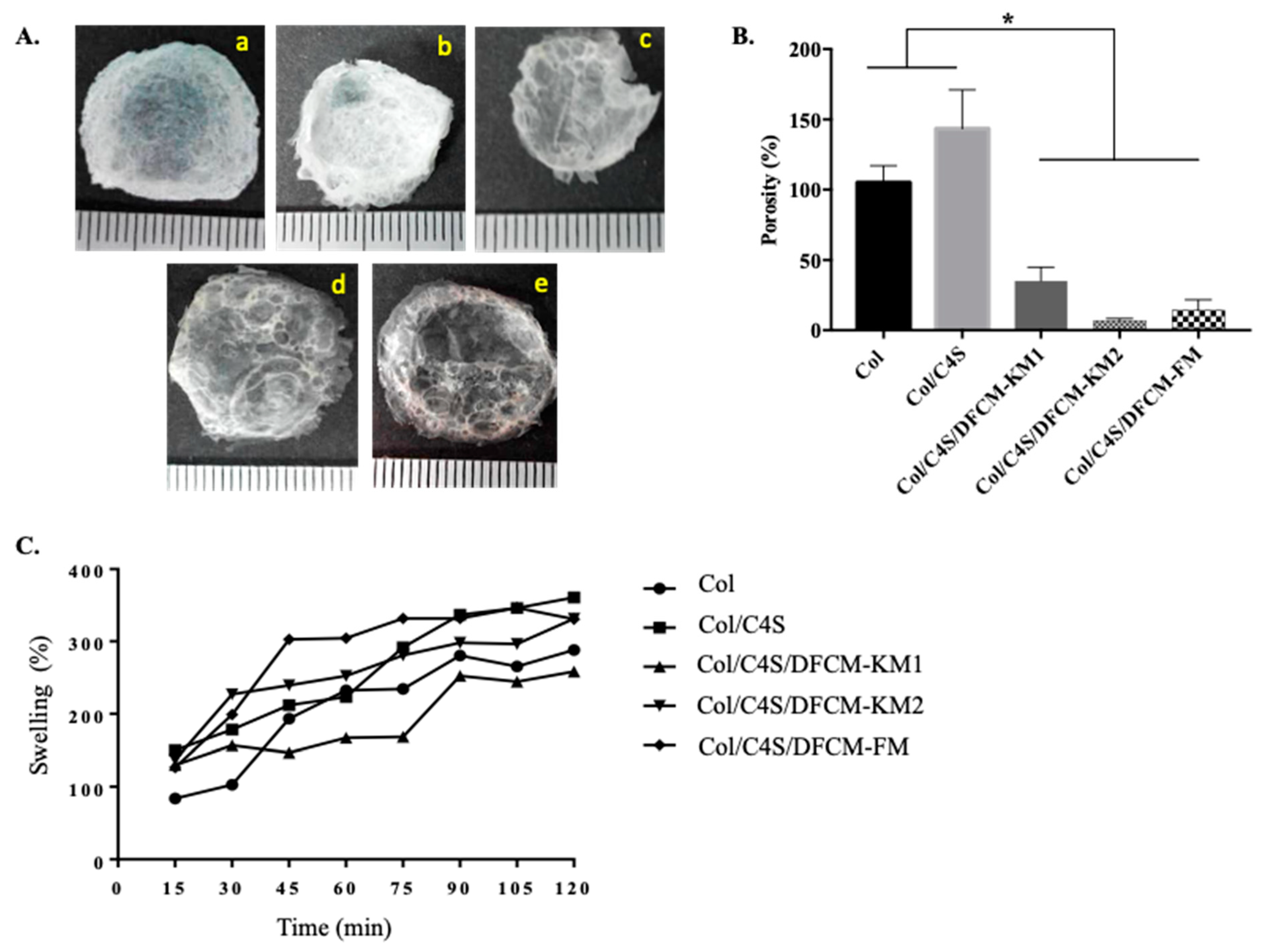 Polymers 13 00508 g004