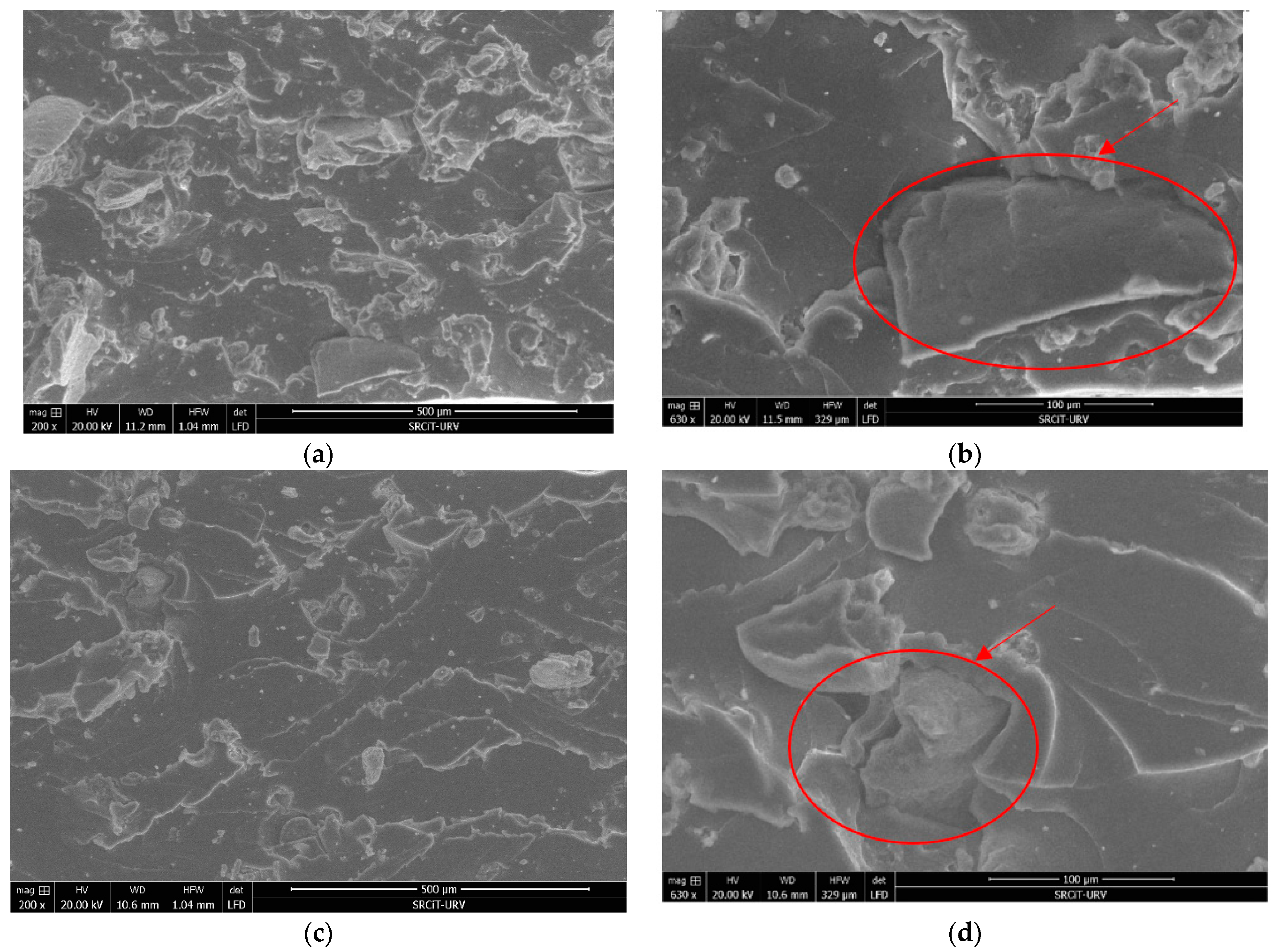 Polymers 13 00509 g001
