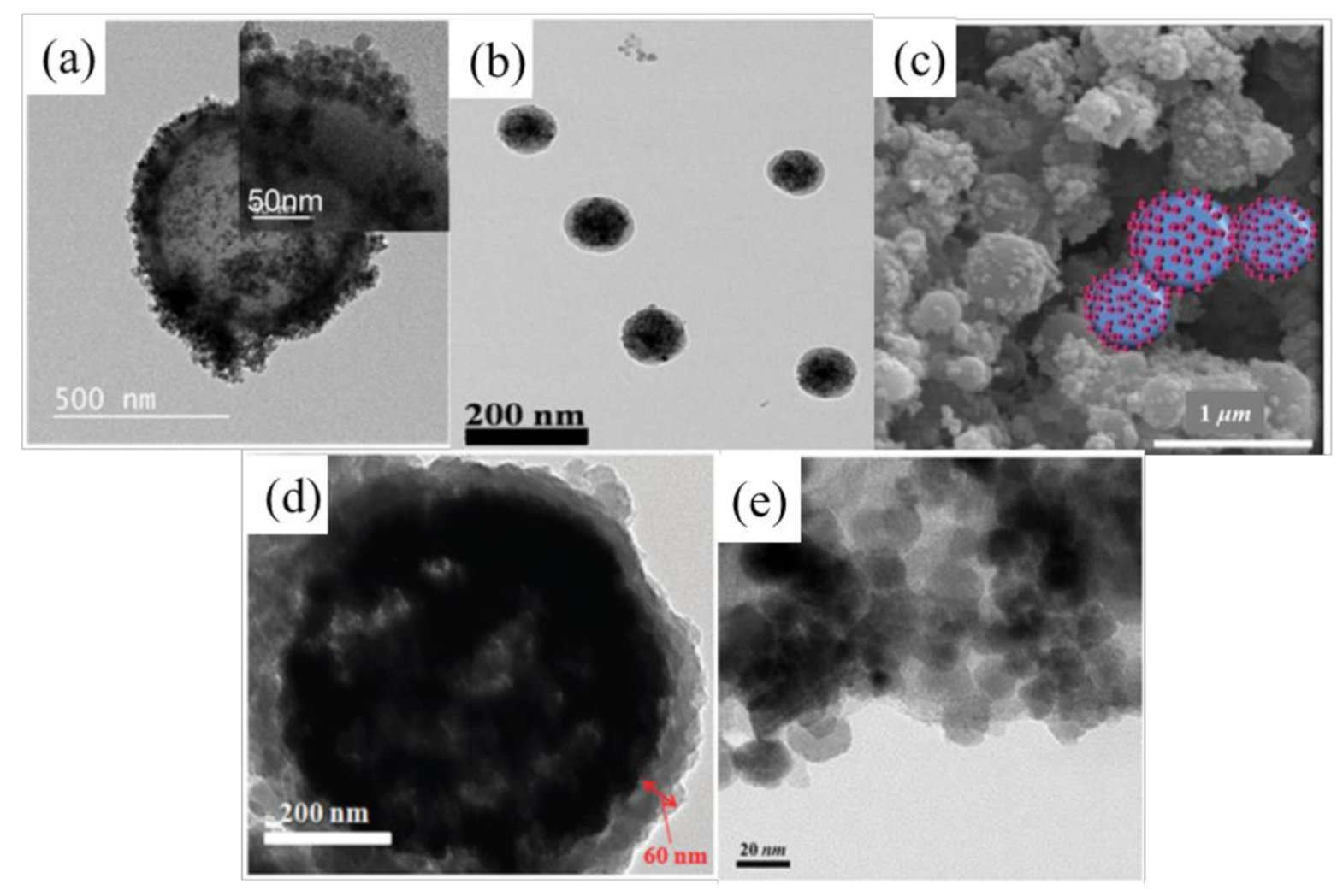 Polymers 13 00512 g002 Polymers 13 00512 g002