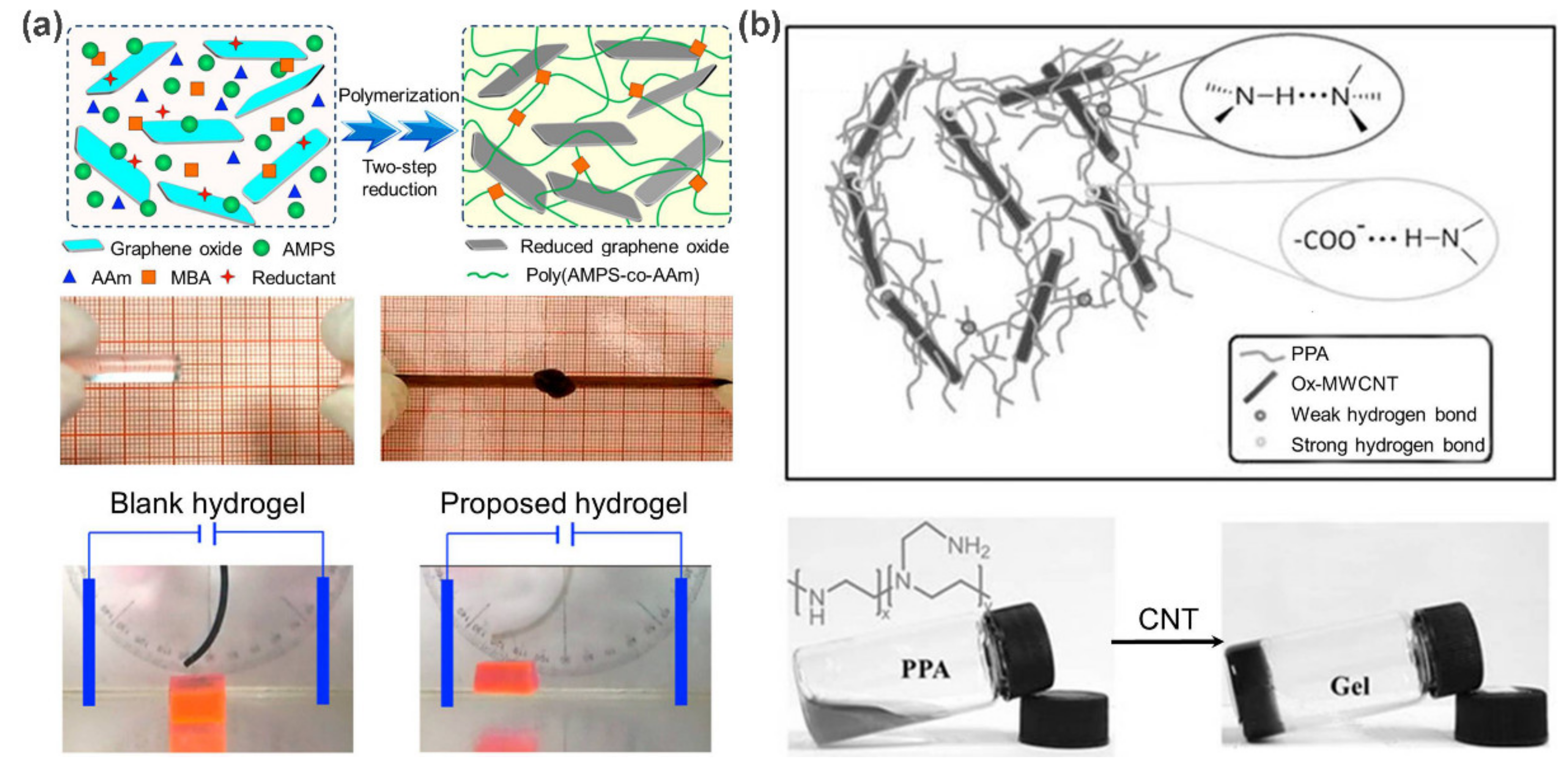 Polymers 13 00513 g001