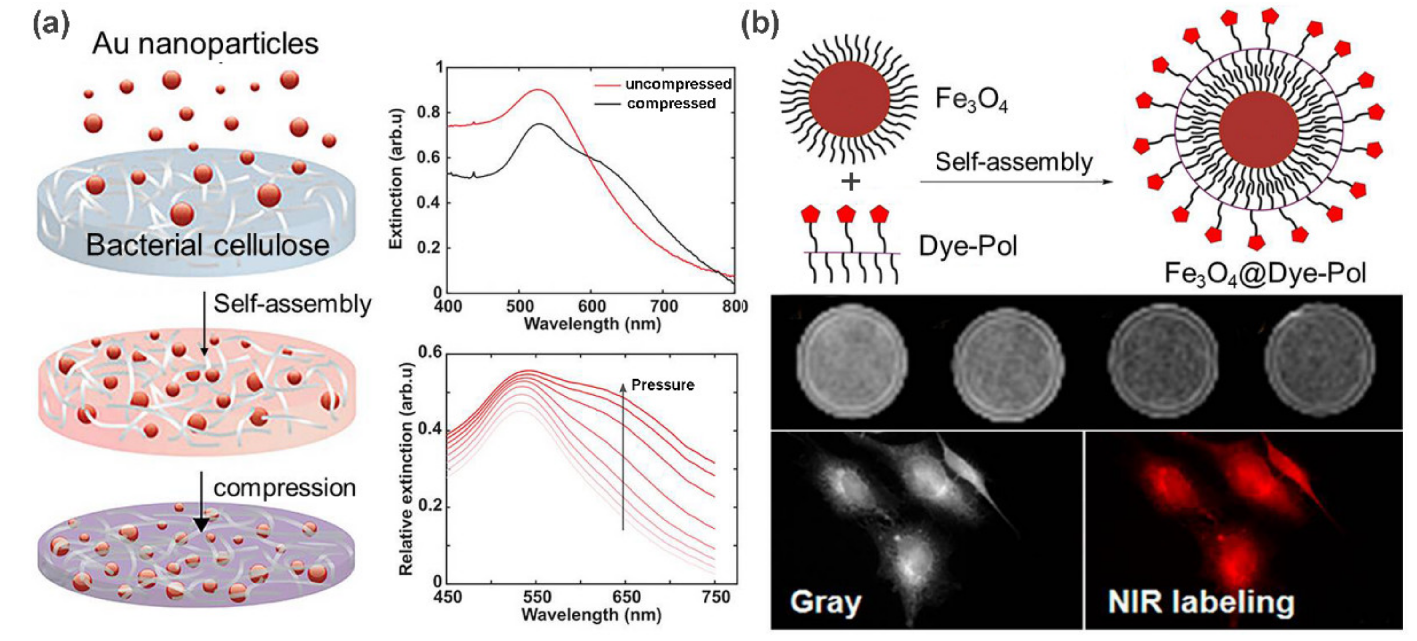 Polymers 13 00513 g003