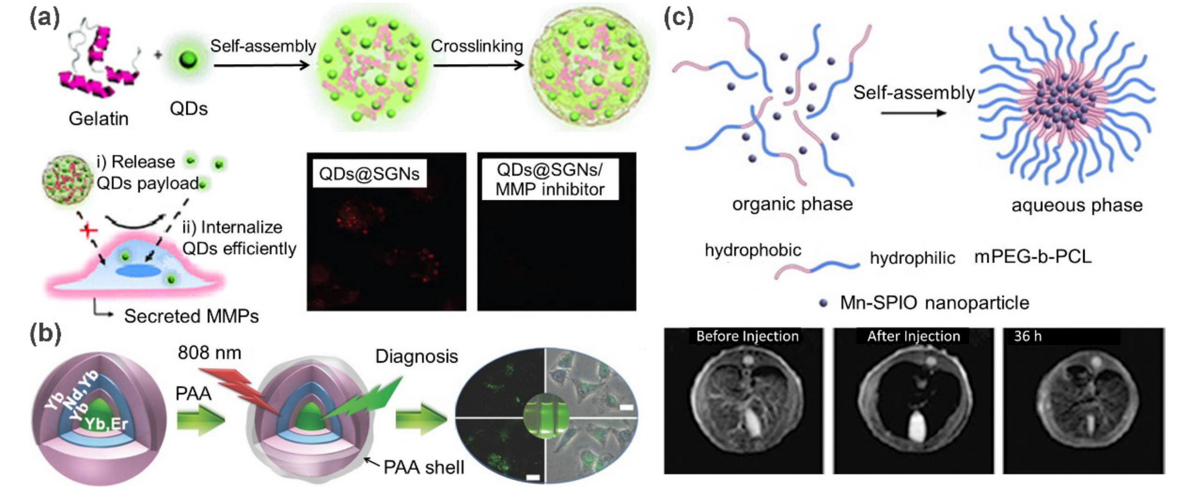 Polymers 13 00513 g006