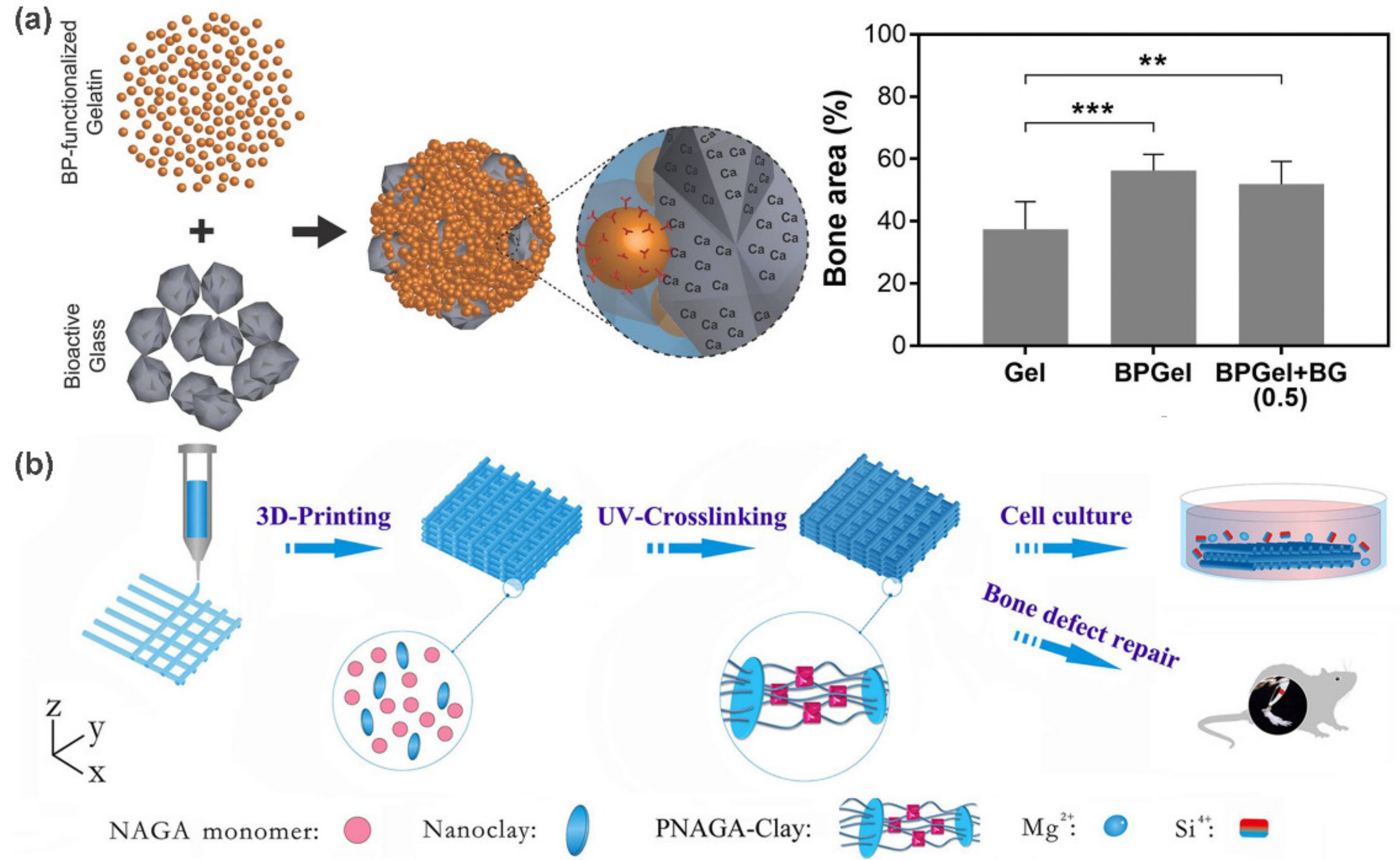 Polymers 13 00513 g008