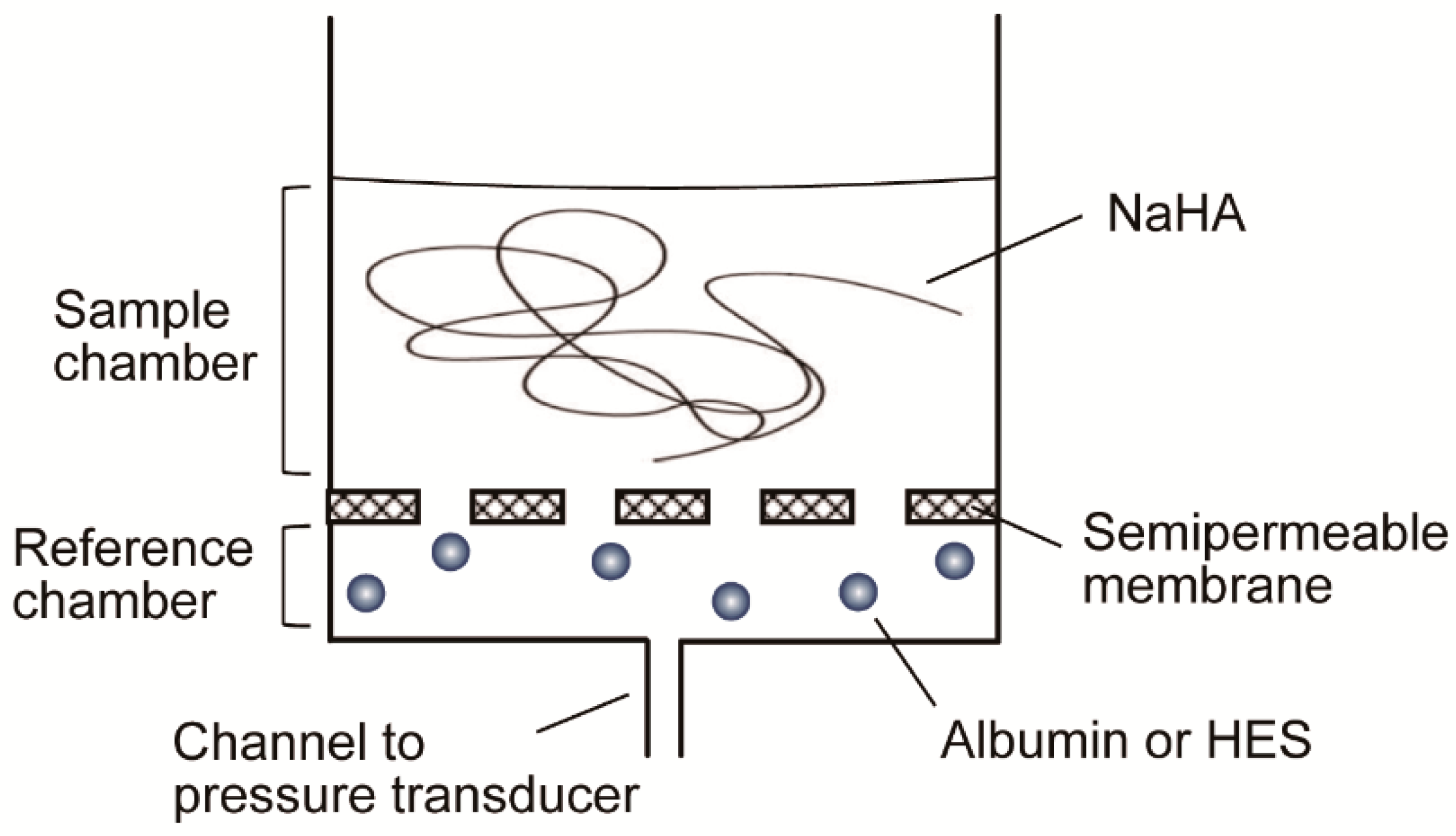 Polymers 13 00514 g002