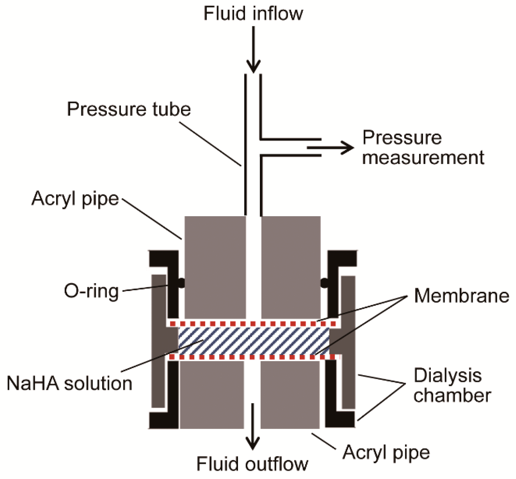 Polymers 13 00514 g003