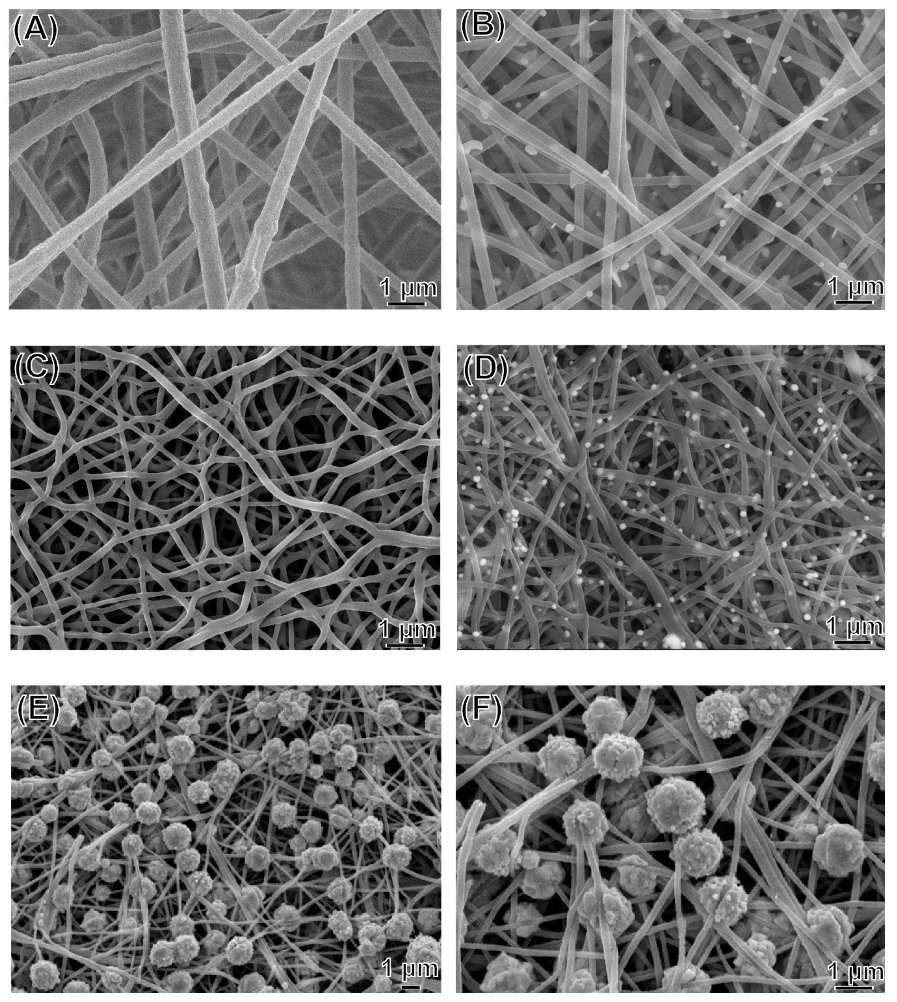 Polymers 13 00516 g001 Polymers 13 00516 g001