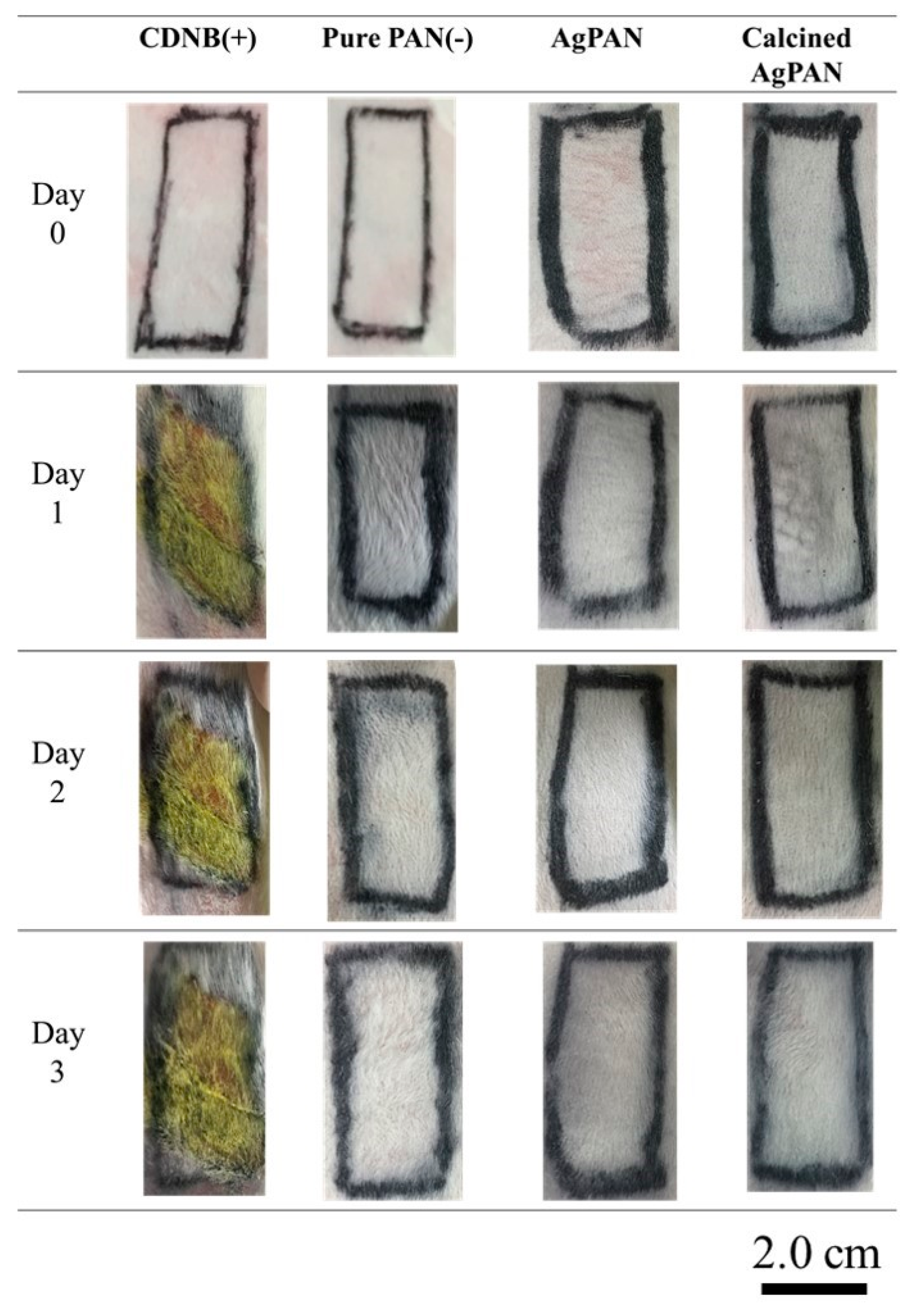 Polymers 13 00516 g006 Polymers 13 00516 g006
