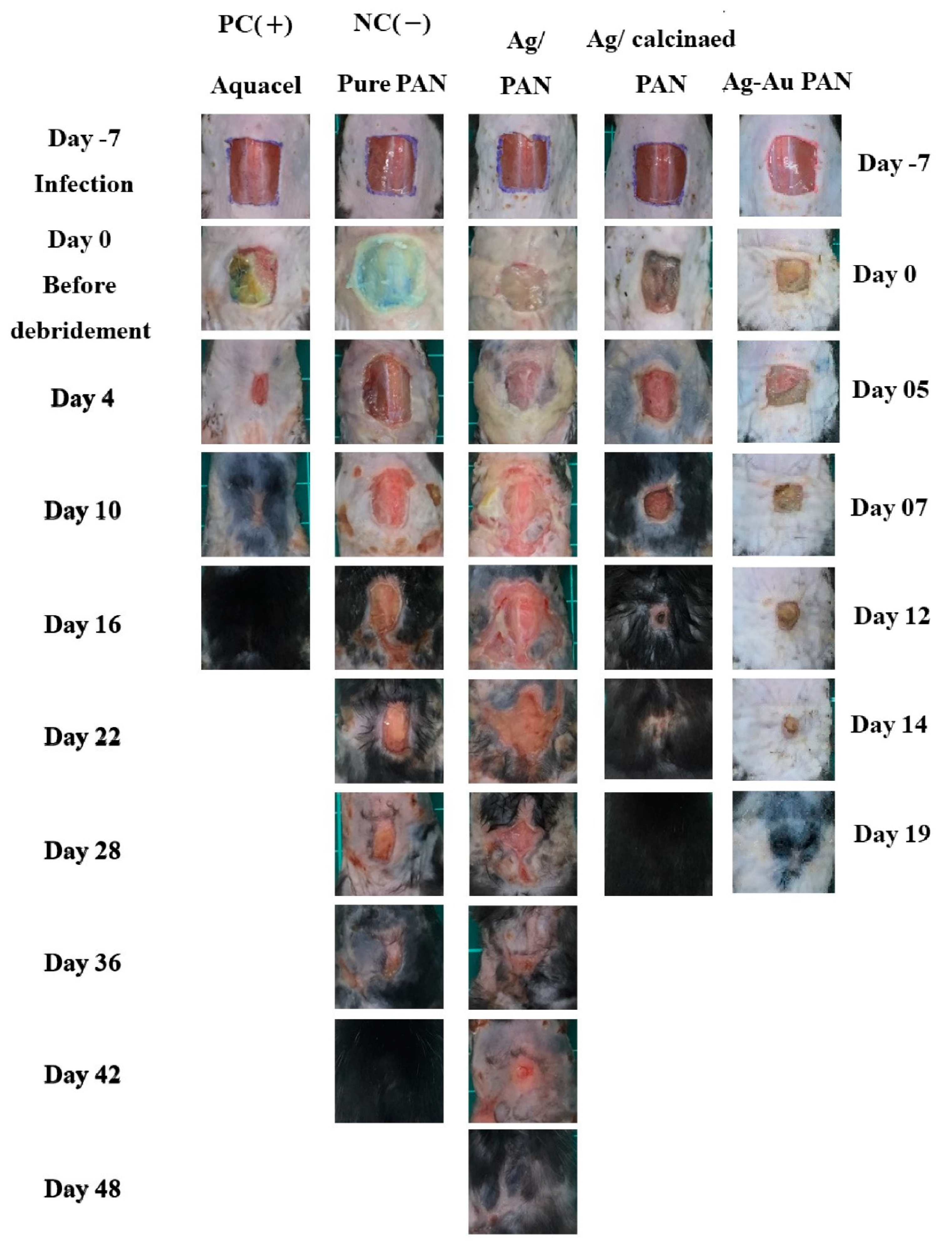 Polymers 13 00516 g008 Polymers 13 00516 g008