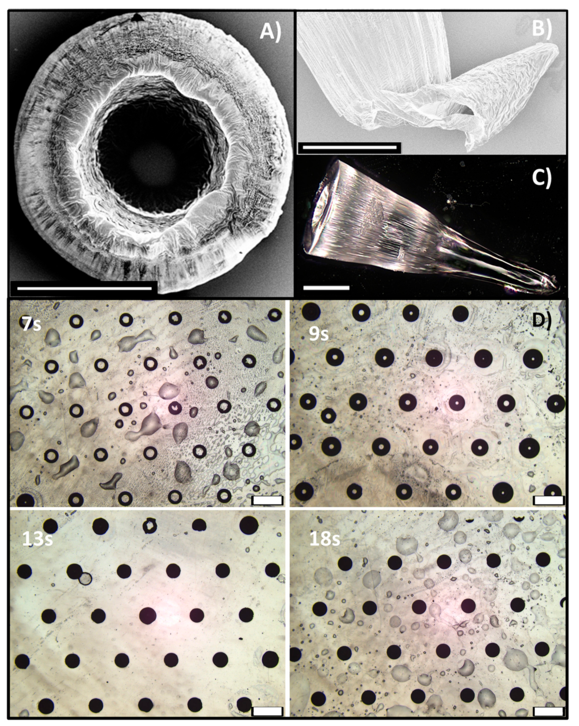 Polymers 13 00520 g004
