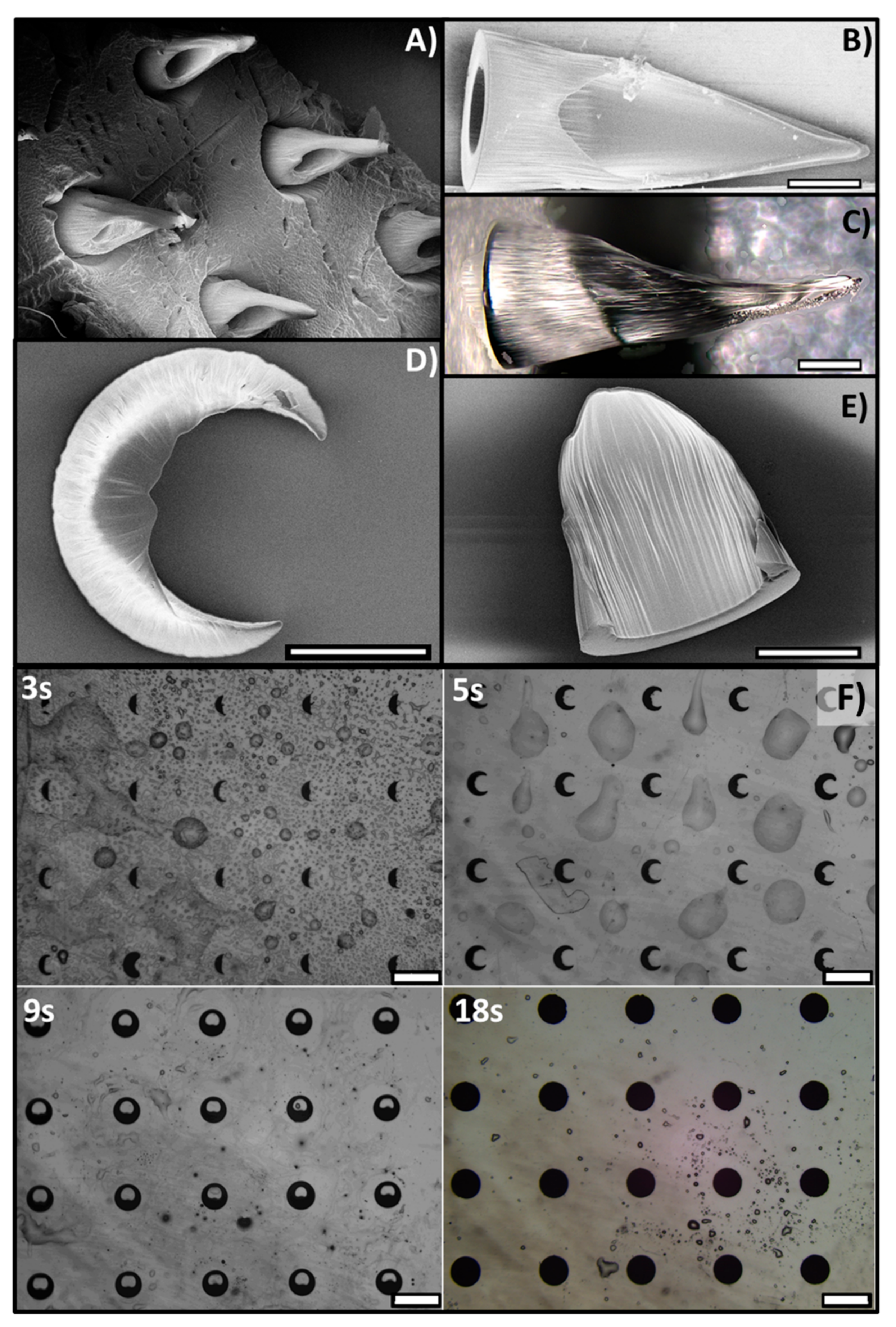 Polymers 13 00520 g005