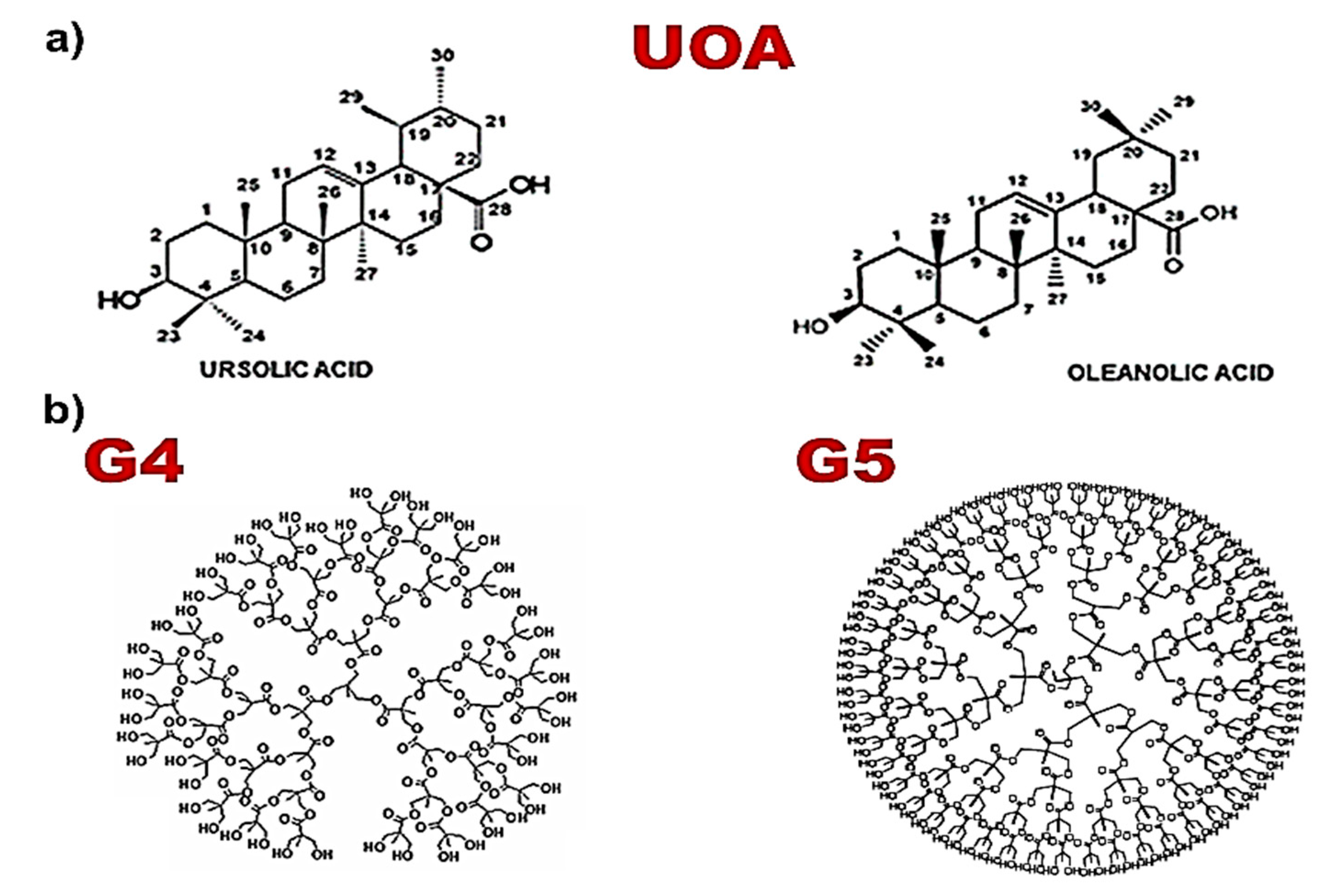 Polymers 13 00521 g001
