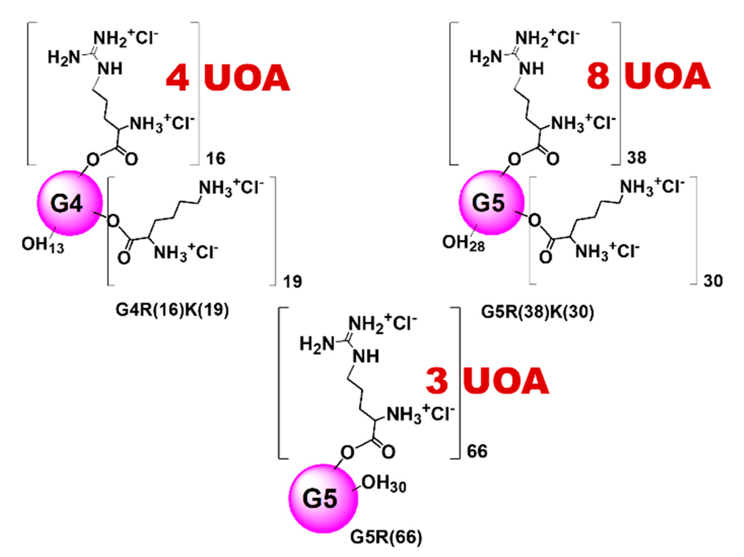 Polymers 13 00521 g002