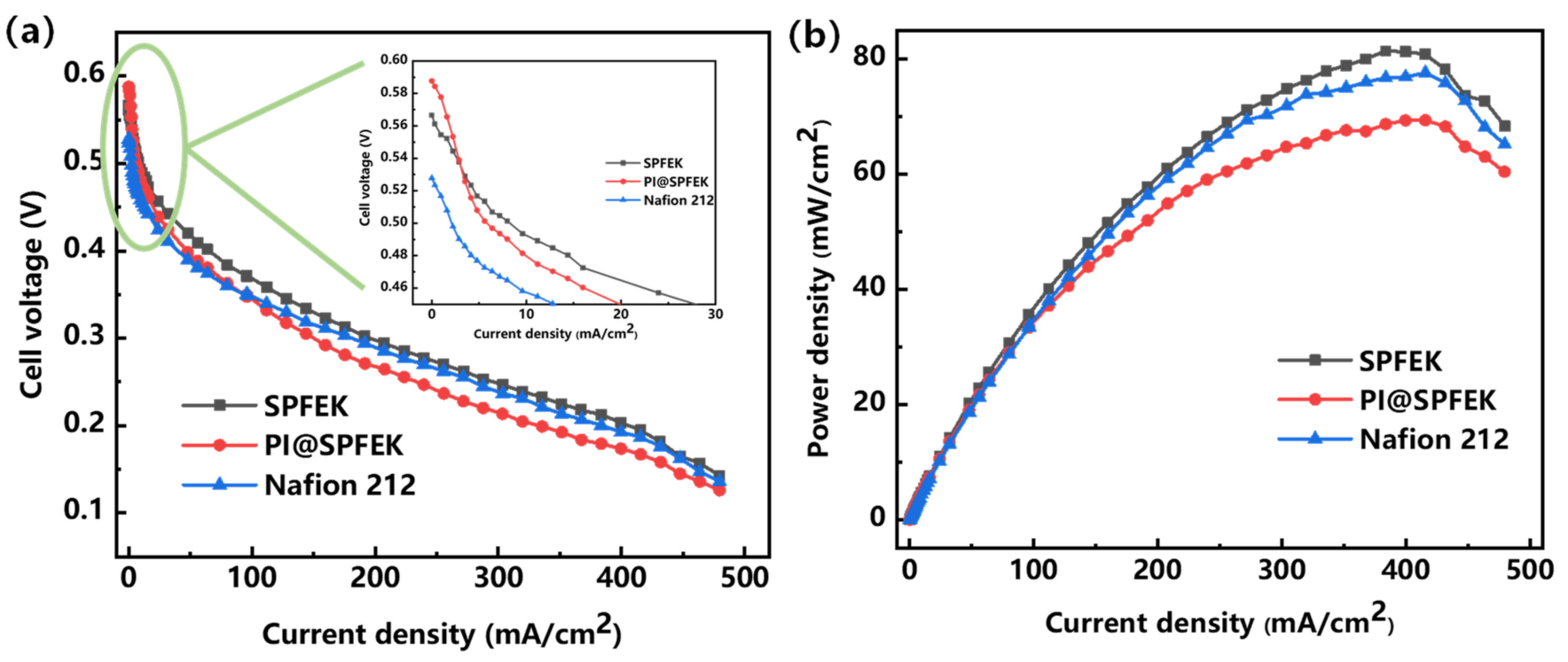 Polymers 13 00523 g008