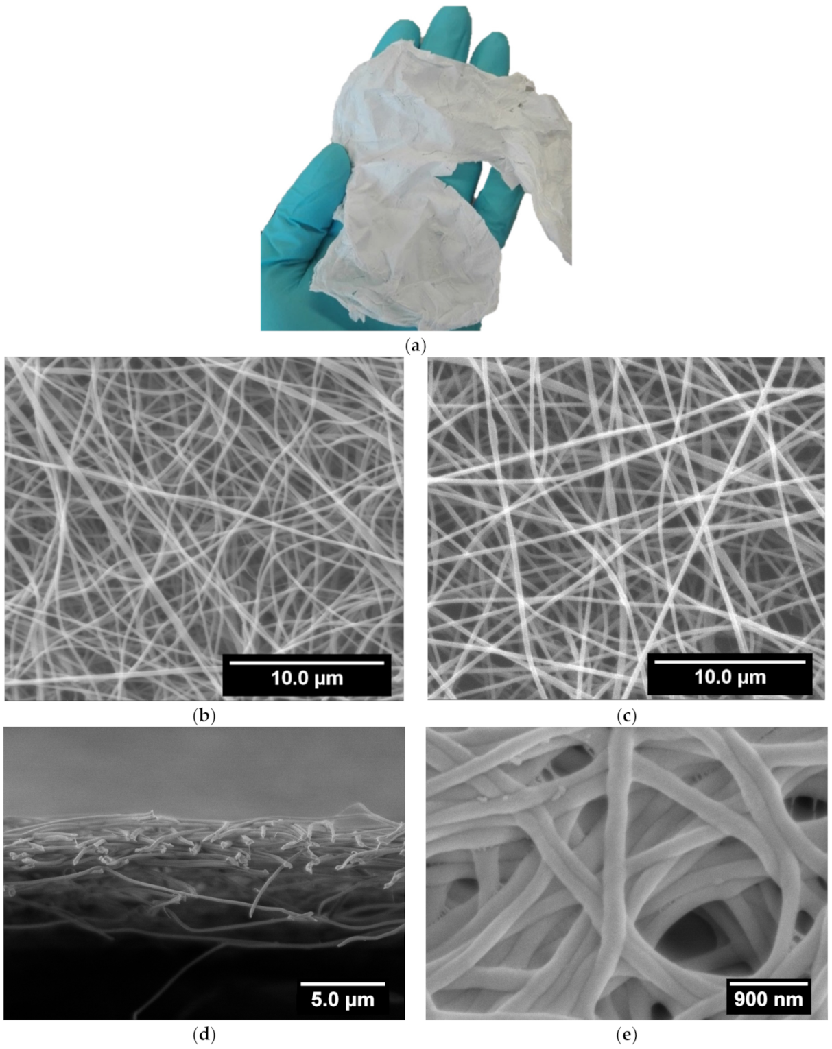 Polymers 13 00526 g001