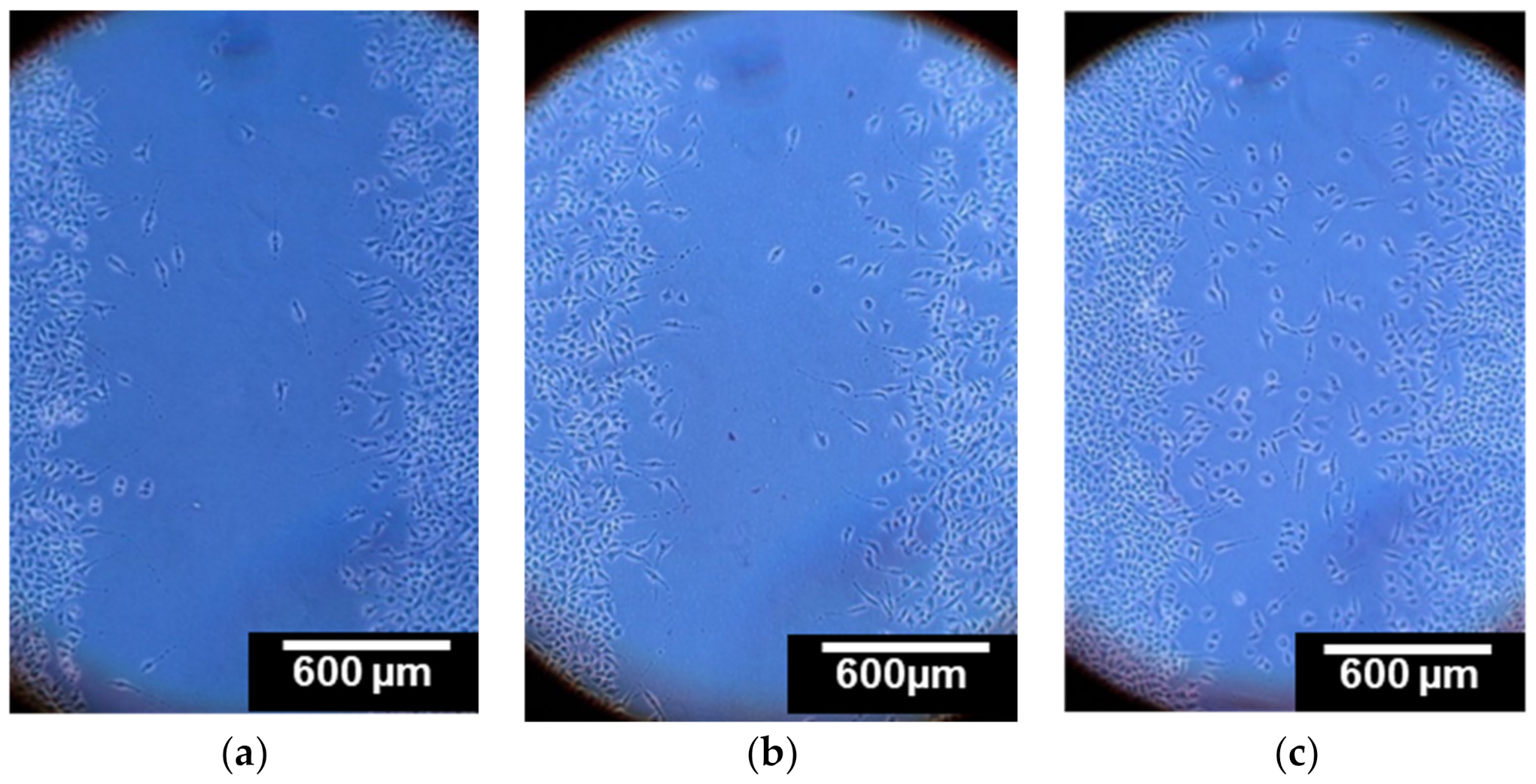 Polymers 13 00526 g007