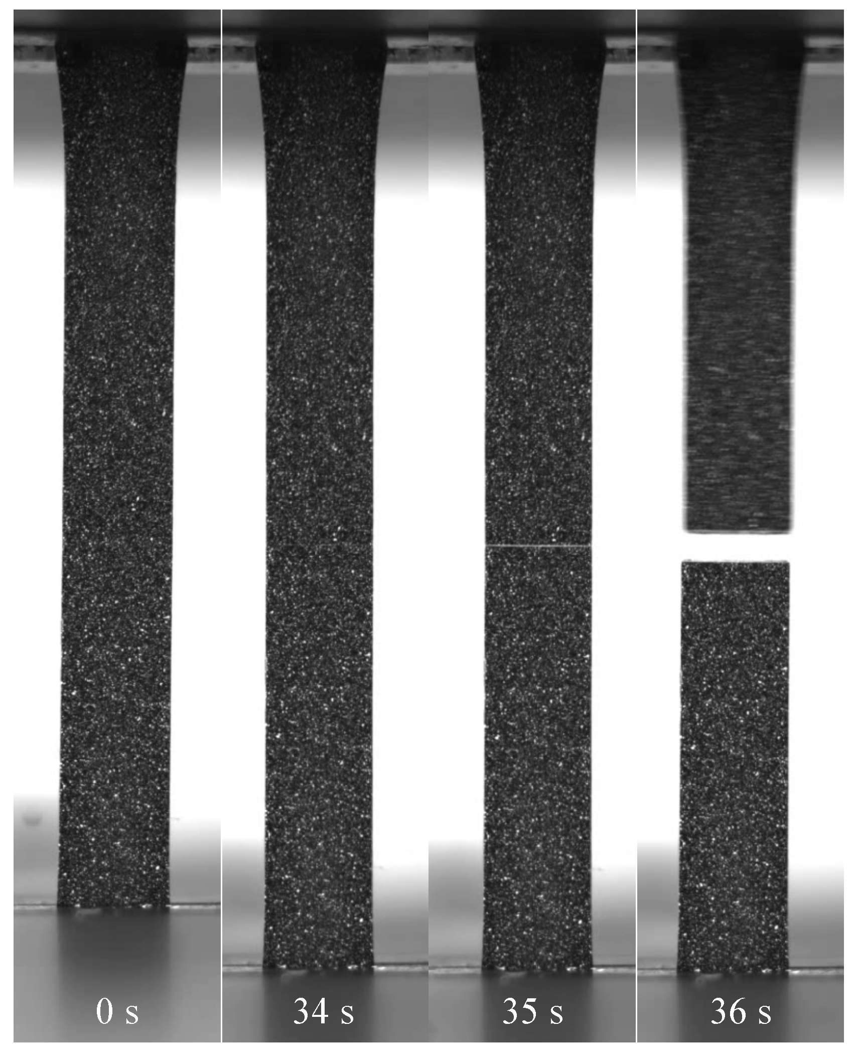 Polymers 13 00527 g019