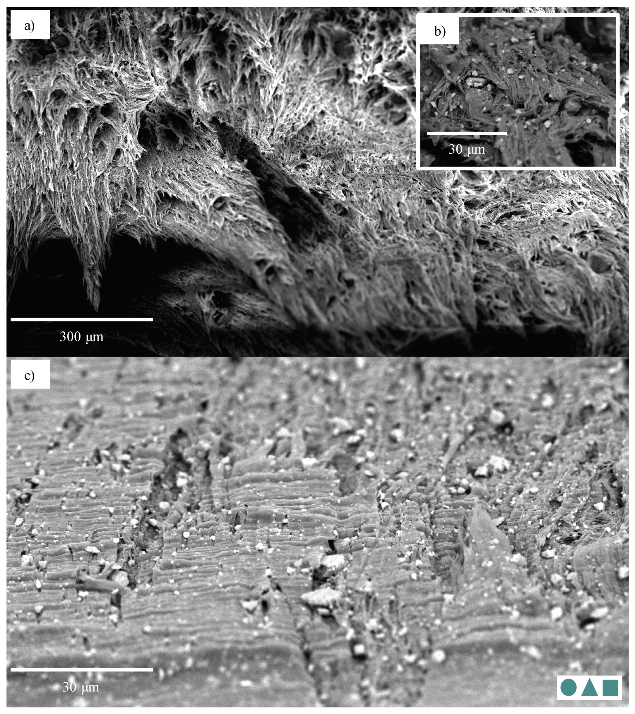 Polymers 13 00527 g023