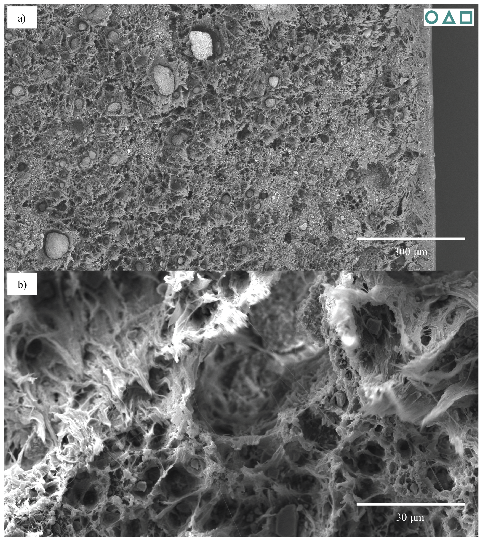Polymers 13 00527 g024