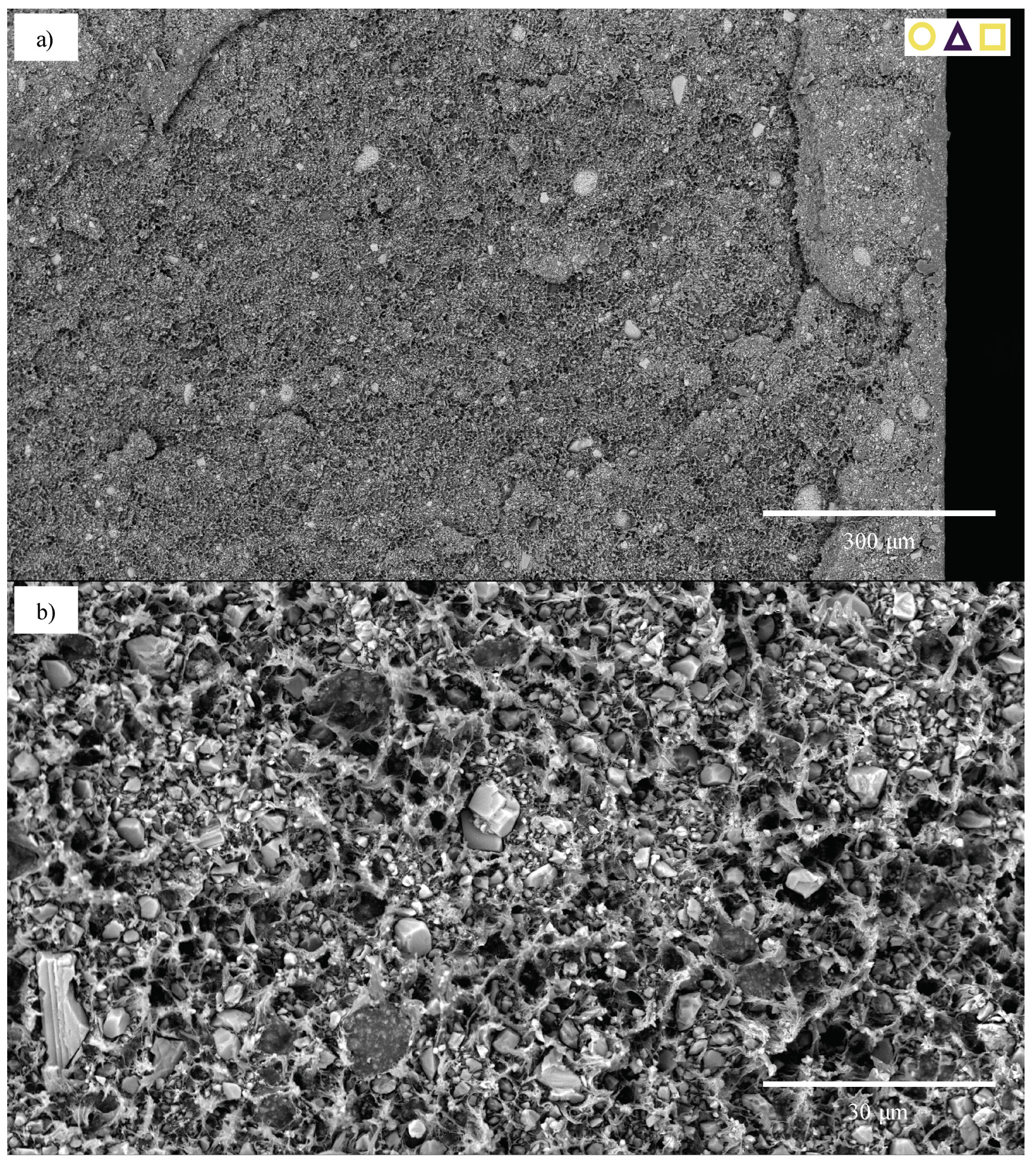 Polymers 13 00527 g025