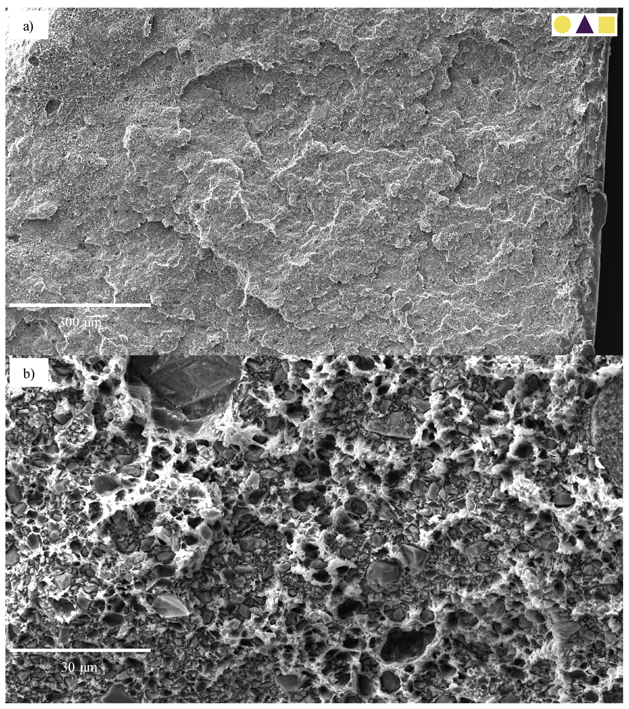 Polymers 13 00527 g026