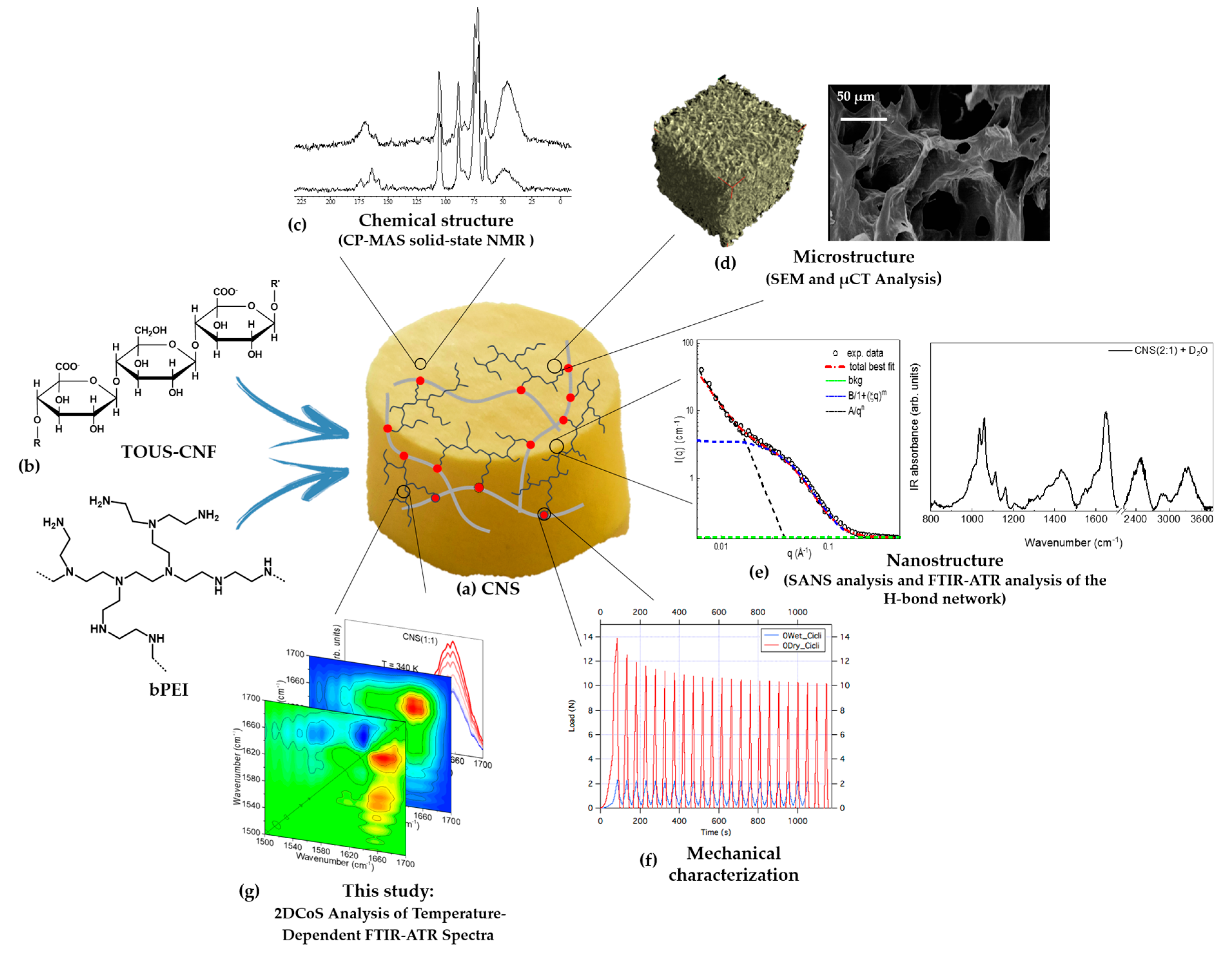 Polymers 13 00528 g001
