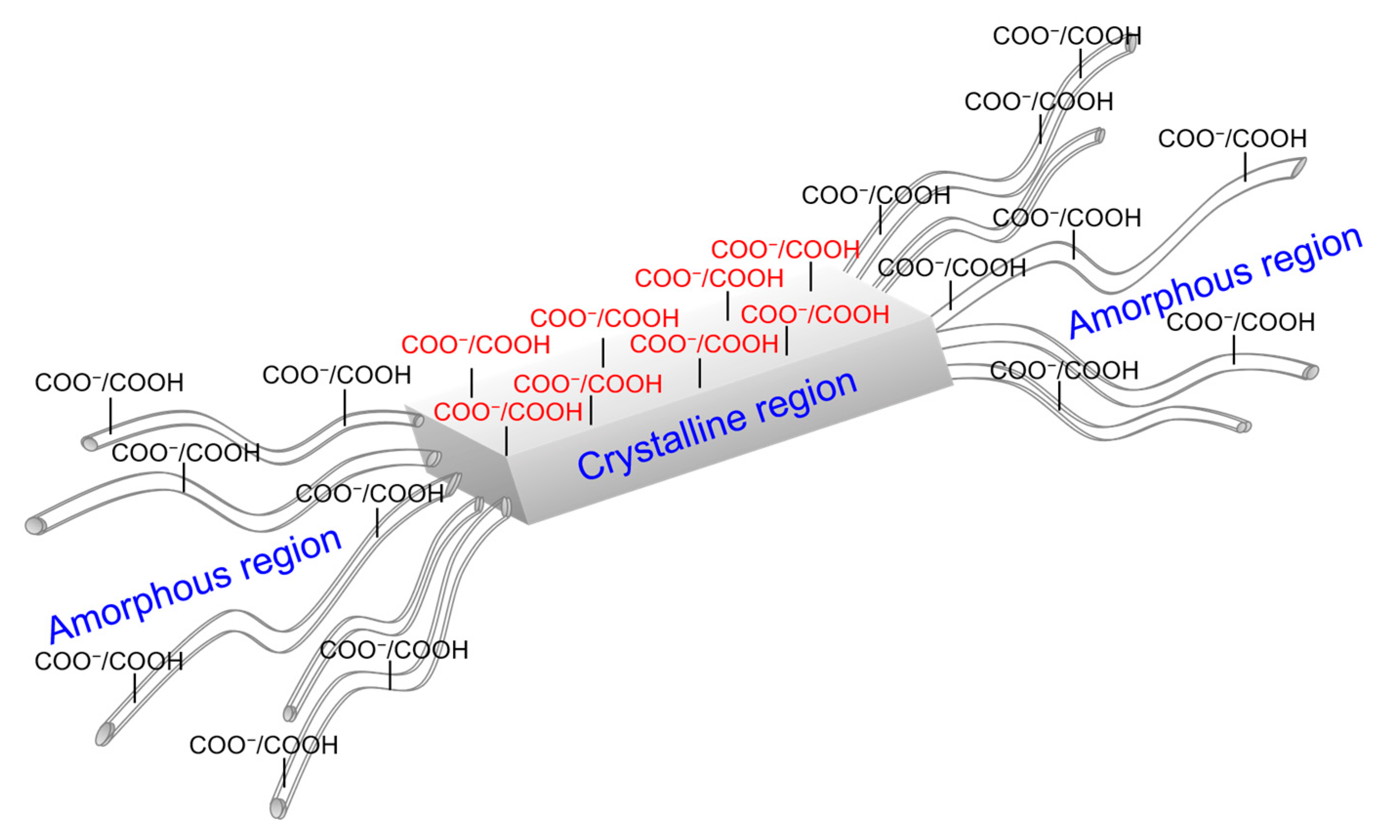 Polymers 13 00528 g006