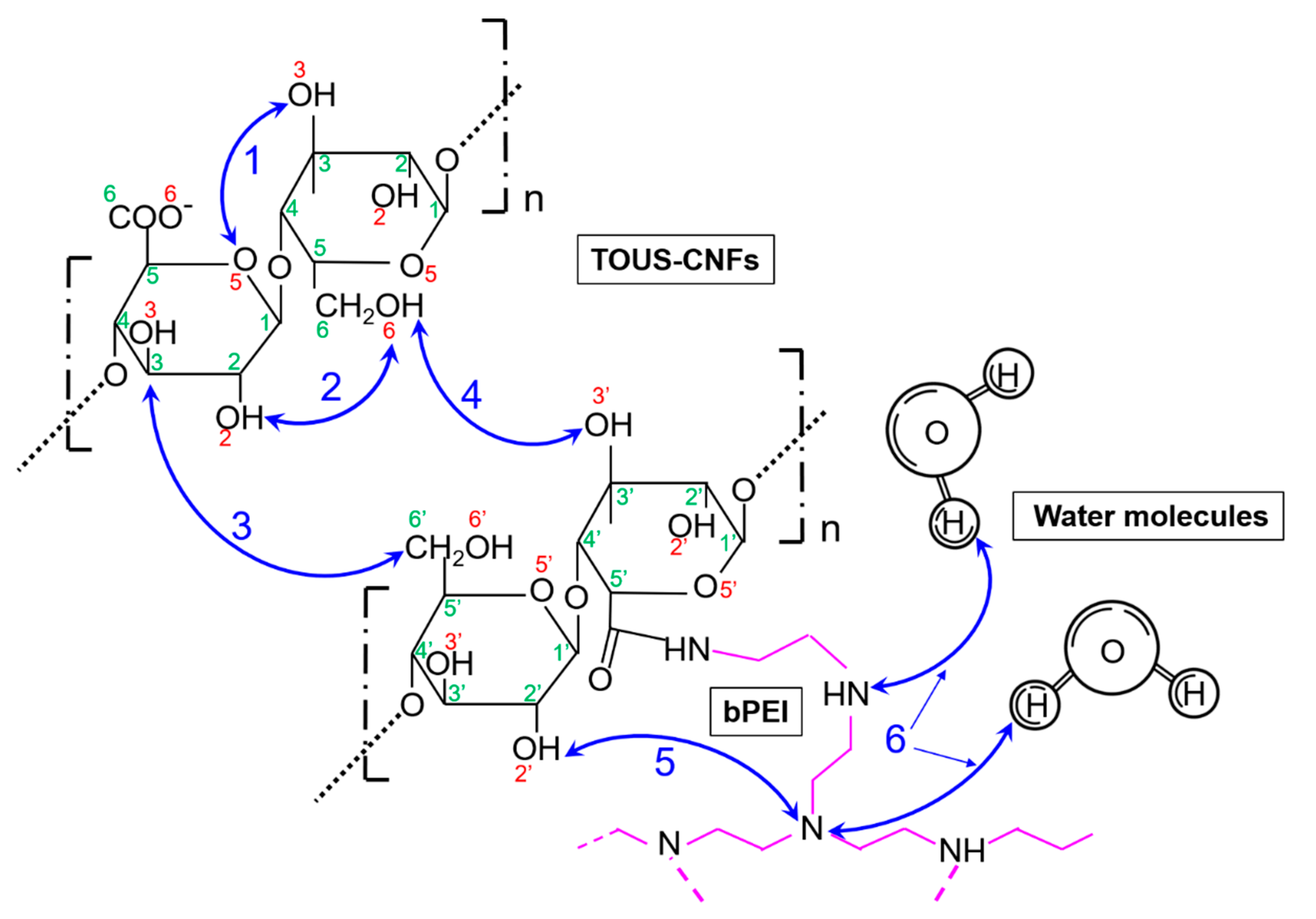Polymers 13 00528 g008