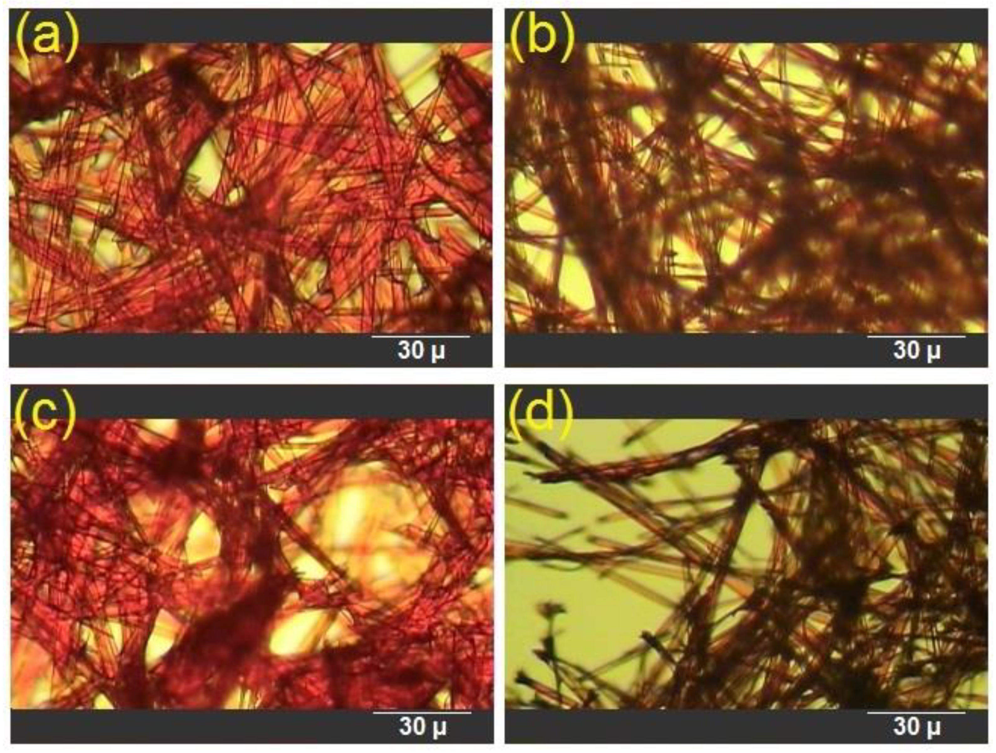 Polymers 13 00531 g002