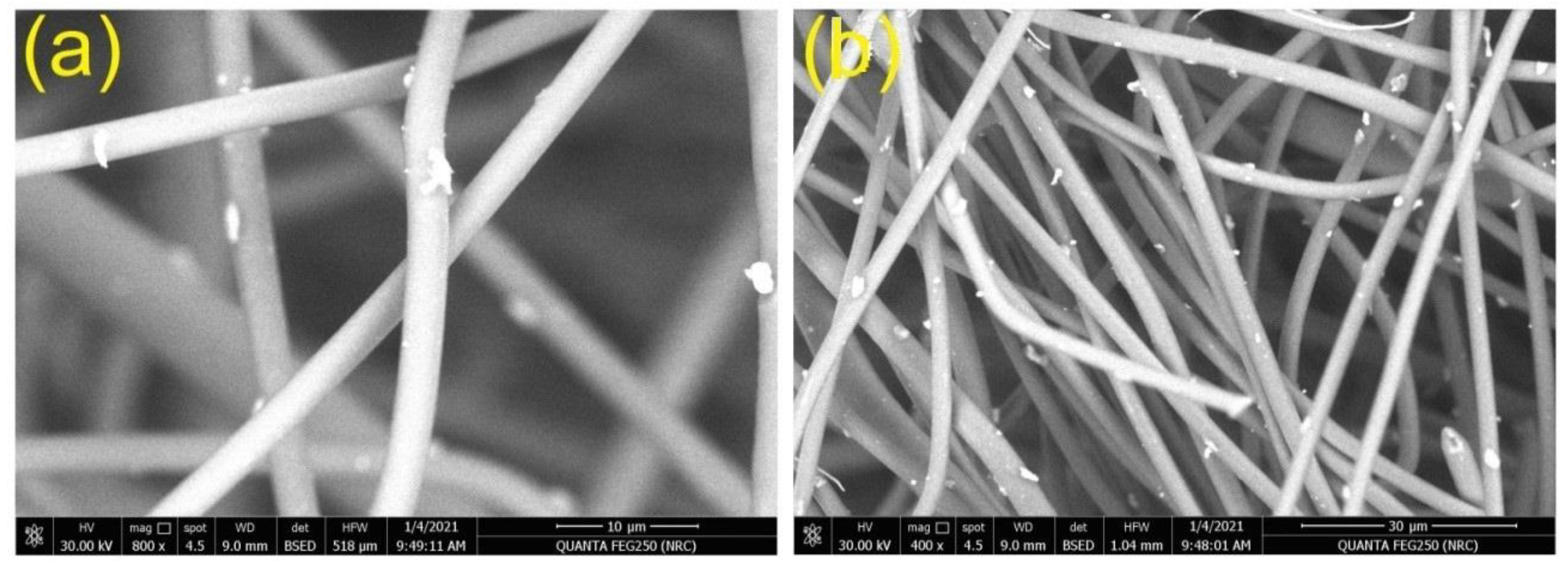 Polymers 13 00531 g003