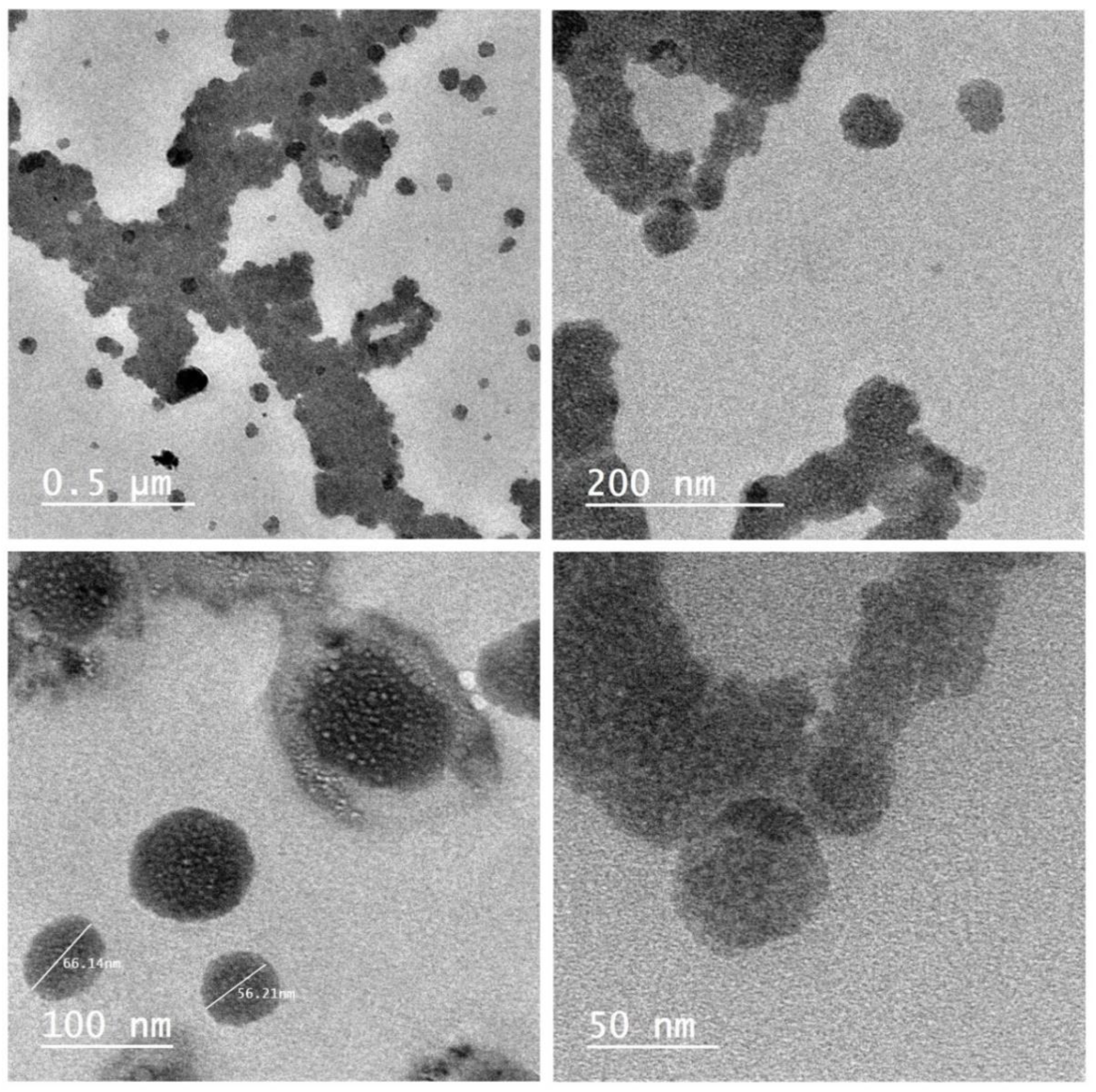 Polymers 13 00531 g004