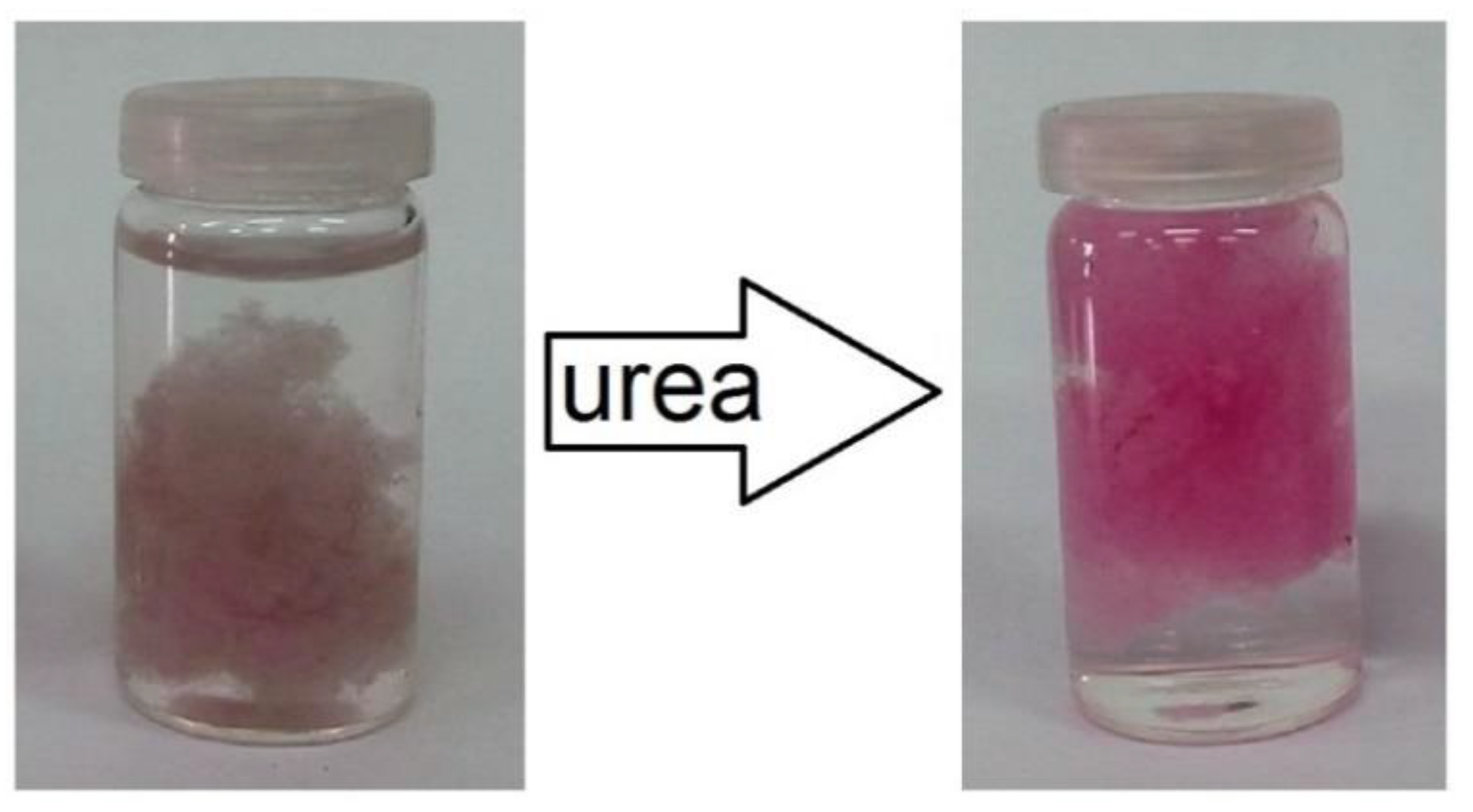 Polymers 13 00531 g006