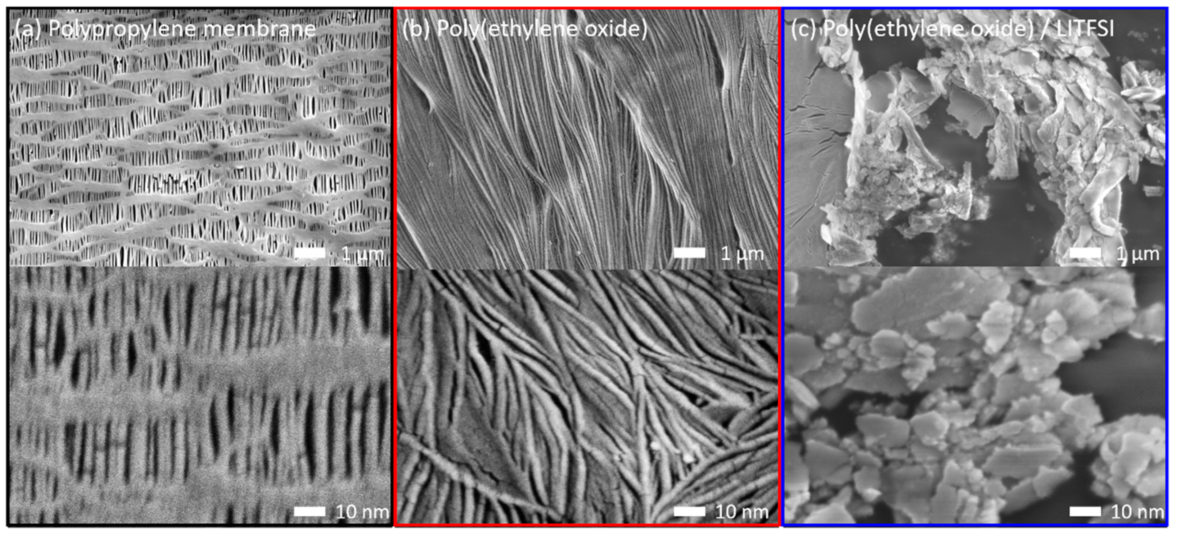 Polymers 13 00535 g001
