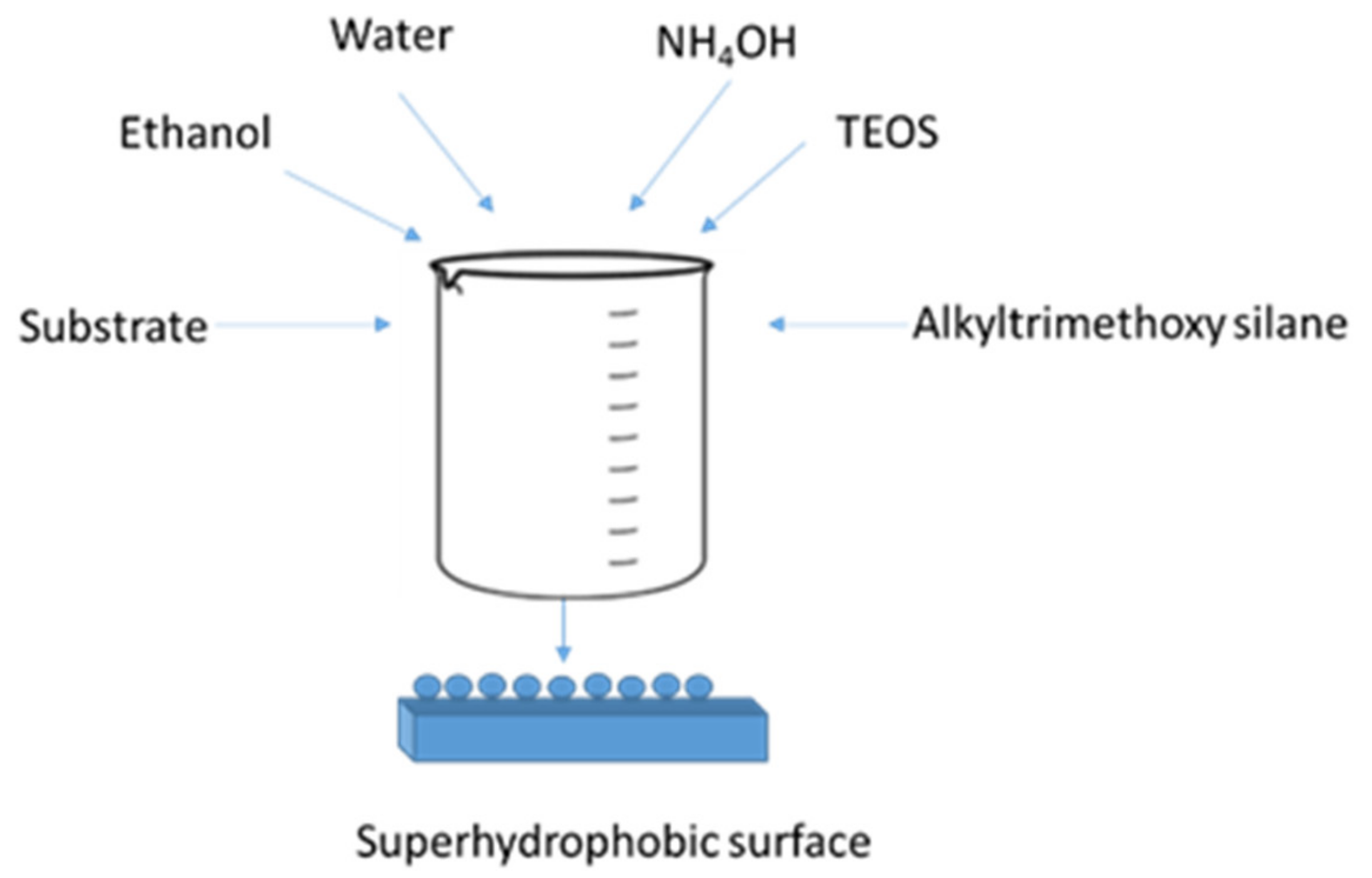 Polymers 13 00539 g002 Polymers 13 00539 g002