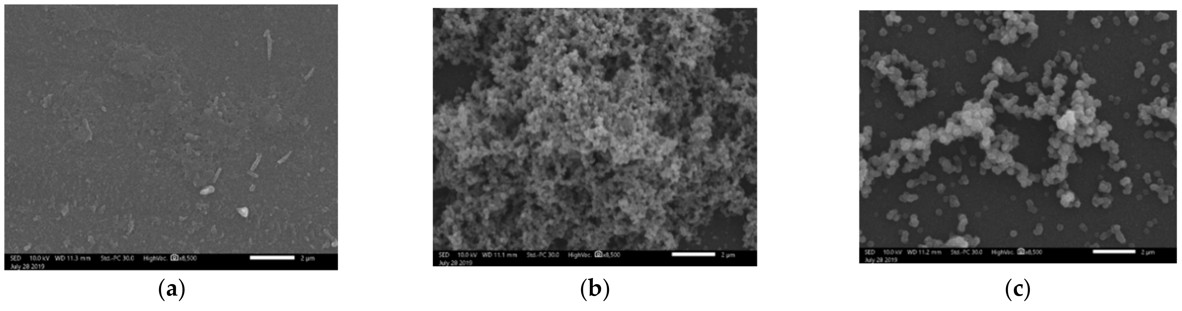 Polymers 13 00539 g006 Polymers 13 00539 g006