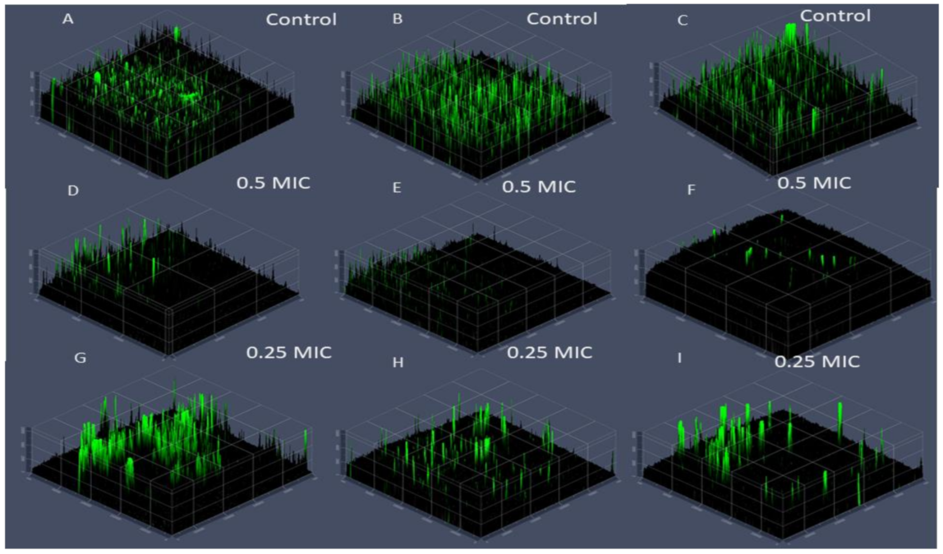 Polymers 13 00542 g005