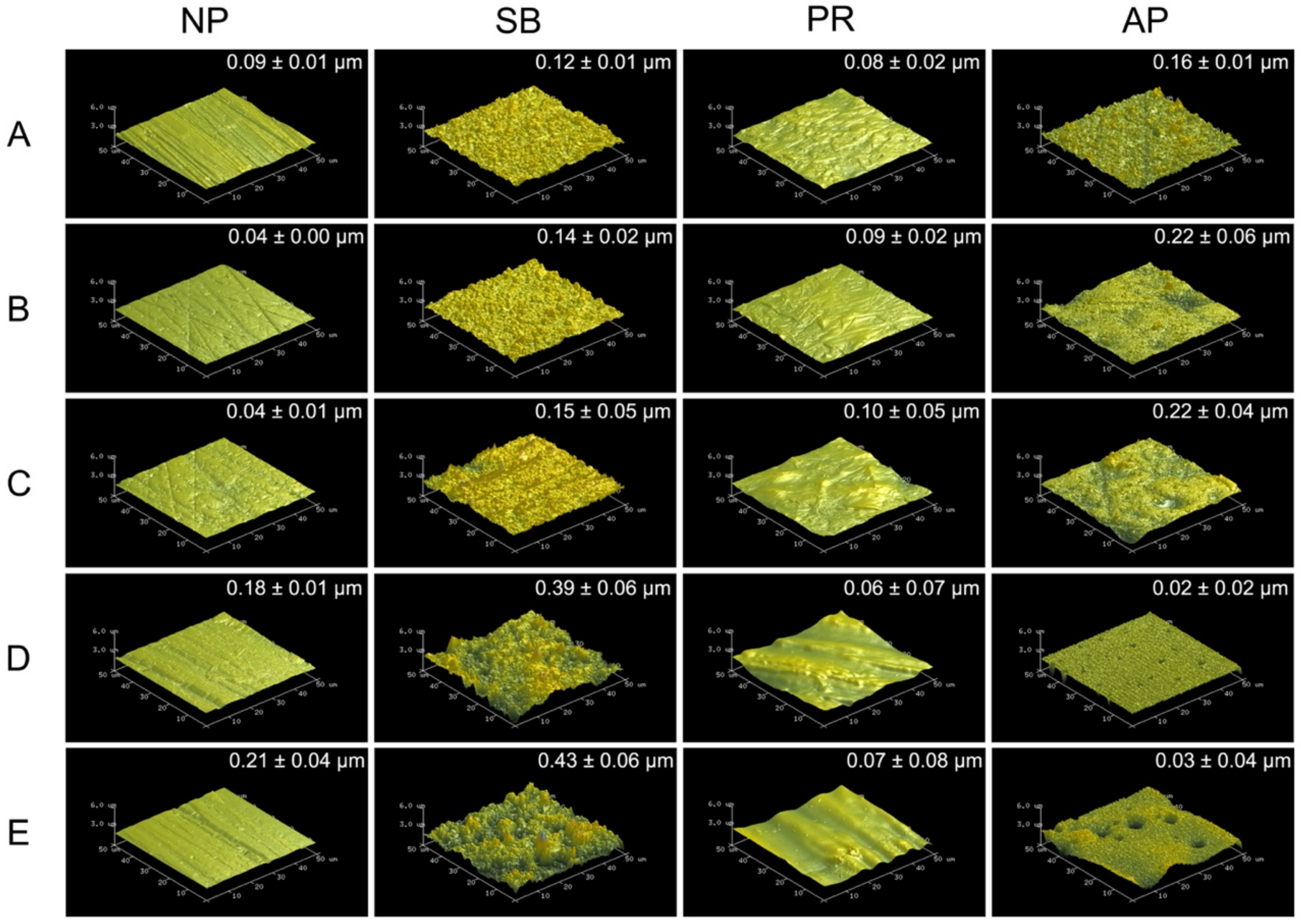 Polymers 13 00543 g001