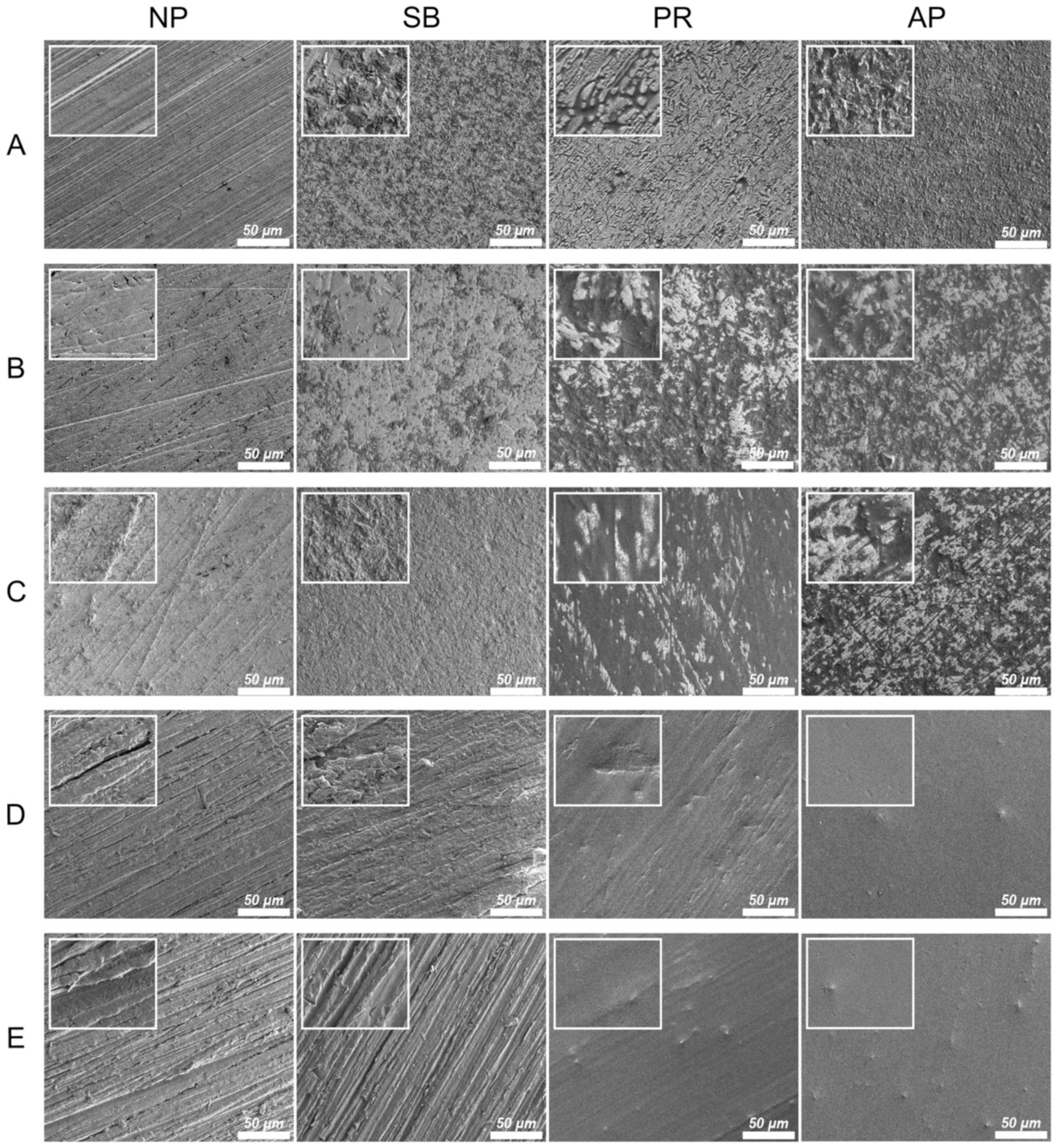 Polymers 13 00543 g002