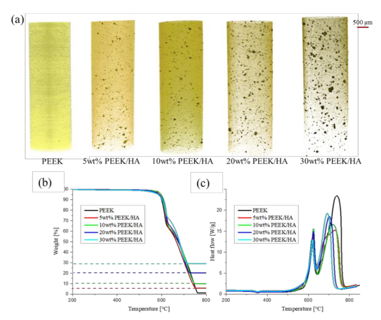 Polymers 13 00545 g001