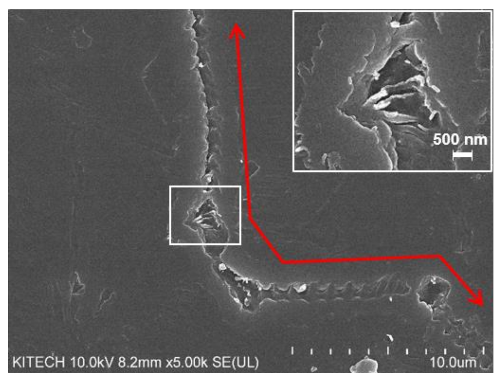 Polymers 13 00546 g002